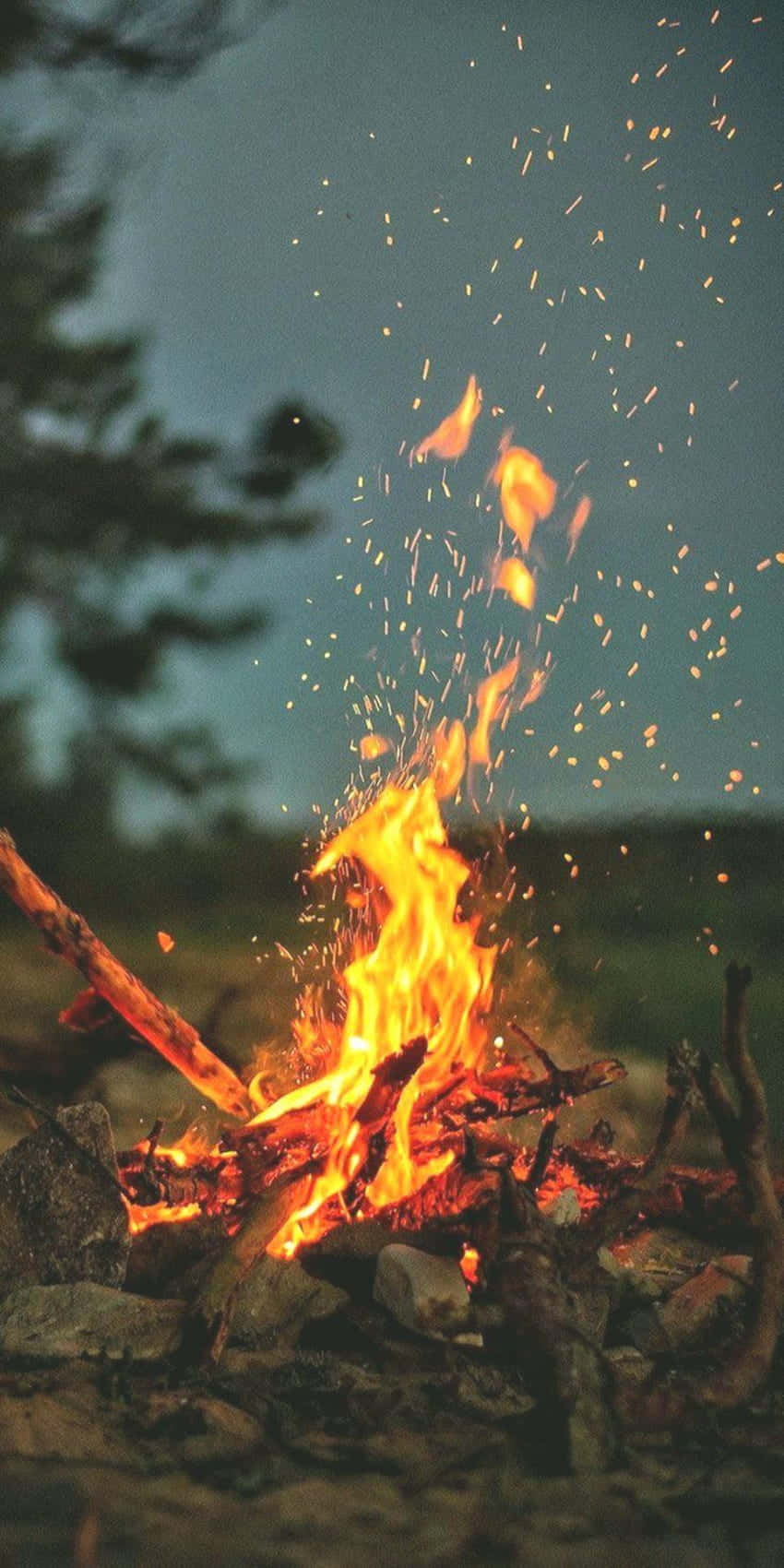 Fall Bonfire 桌布 壁紙 — 一個熊熊燃燒的營火，火花四濺，照亮了暮色中的森林空地，周圍環繞著岩石和樹木。