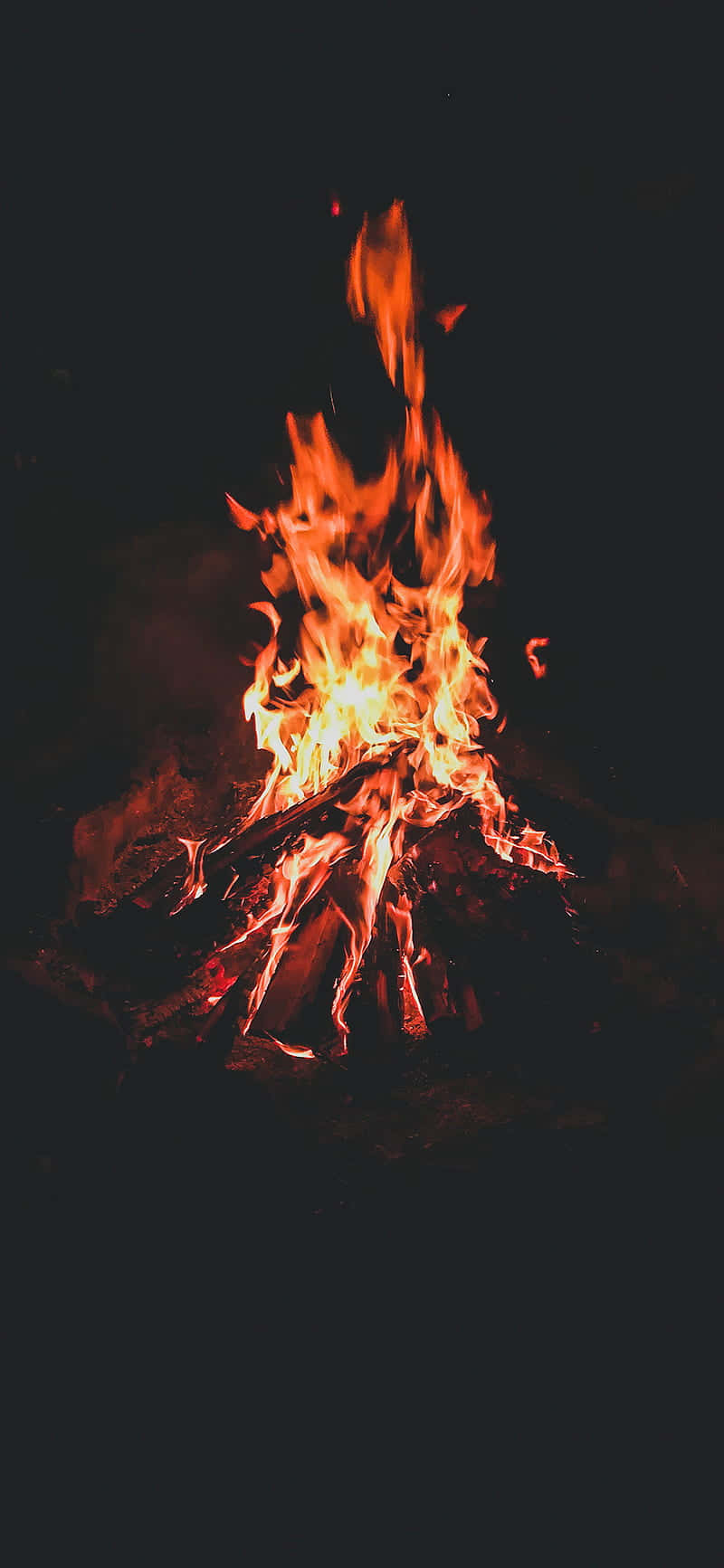 woods 桌布 壁紙 — 一個熊熊燃燒的營火在漆黑的夜空下明亮地燃燒，向周圍的木頭投射出溫暖的橙色和黃色光芒。