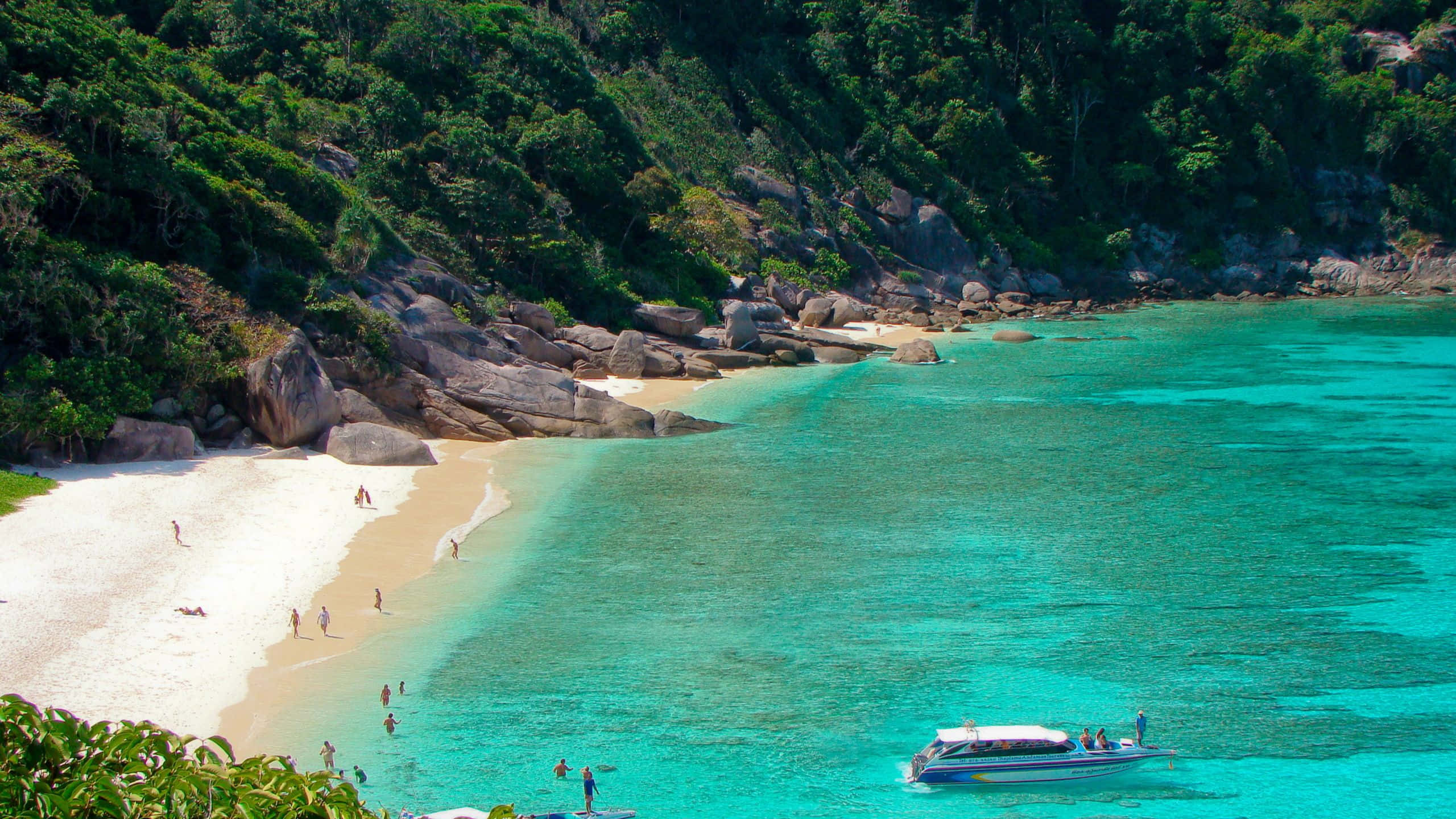 1440p Beach 桌布 壁紙 — 一個熱帶海灘，擁有碧綠的海水和白色的沙灘，兩旁是茂密的綠色山丘和巨大的岩石。