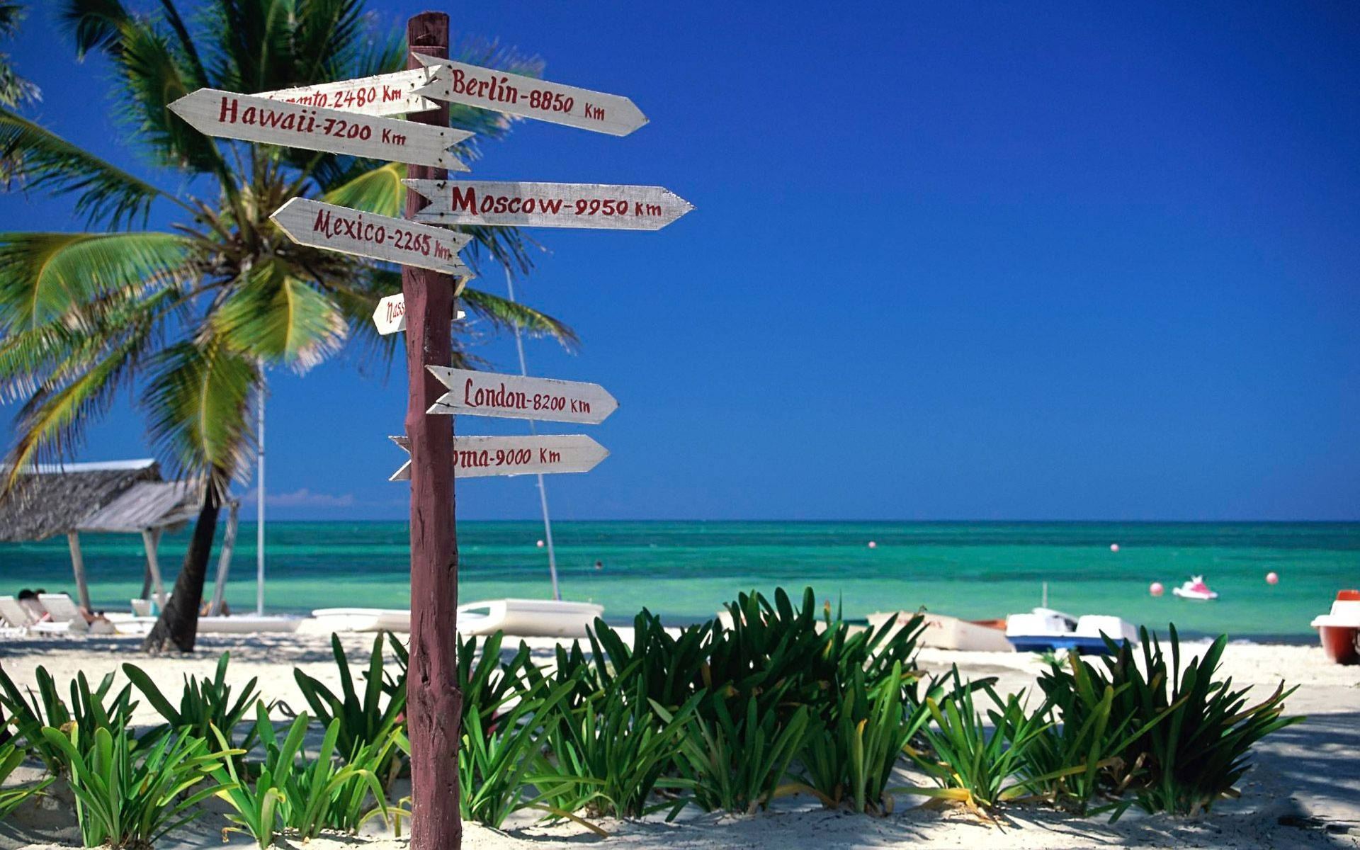Cuba 桌布 壁紙 — 一個熱帶海灘上的木製路標指向遠方的城市，背景是清澈的藍天、碧綠的海水和棕櫚樹。