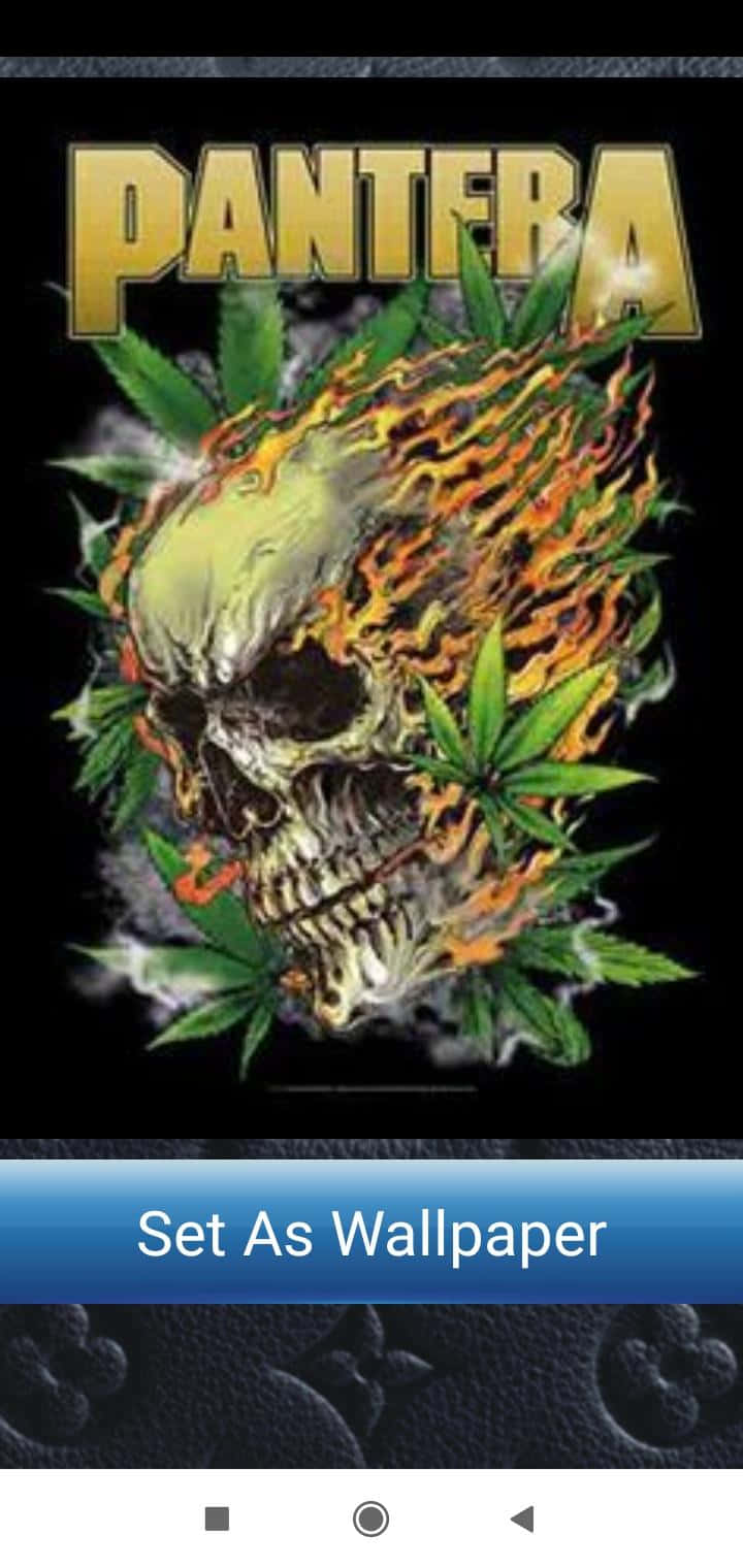 桌布 壁紙 — 一個燃燒的頭骨，被大麻葉包圍，黑色背景上有粗體金色字母的「PANTERA」字樣。