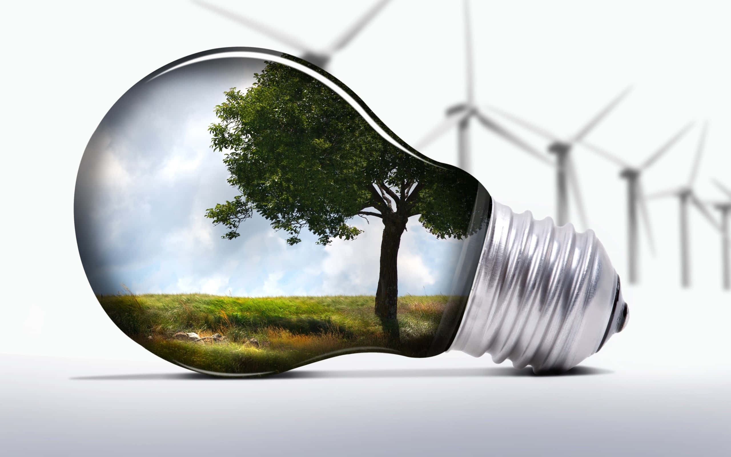 Energy 桌布 壁紙 — 一個燈泡內含一棵在藍天下生機勃勃的綠色樹木，背景可見風力渦輪機。