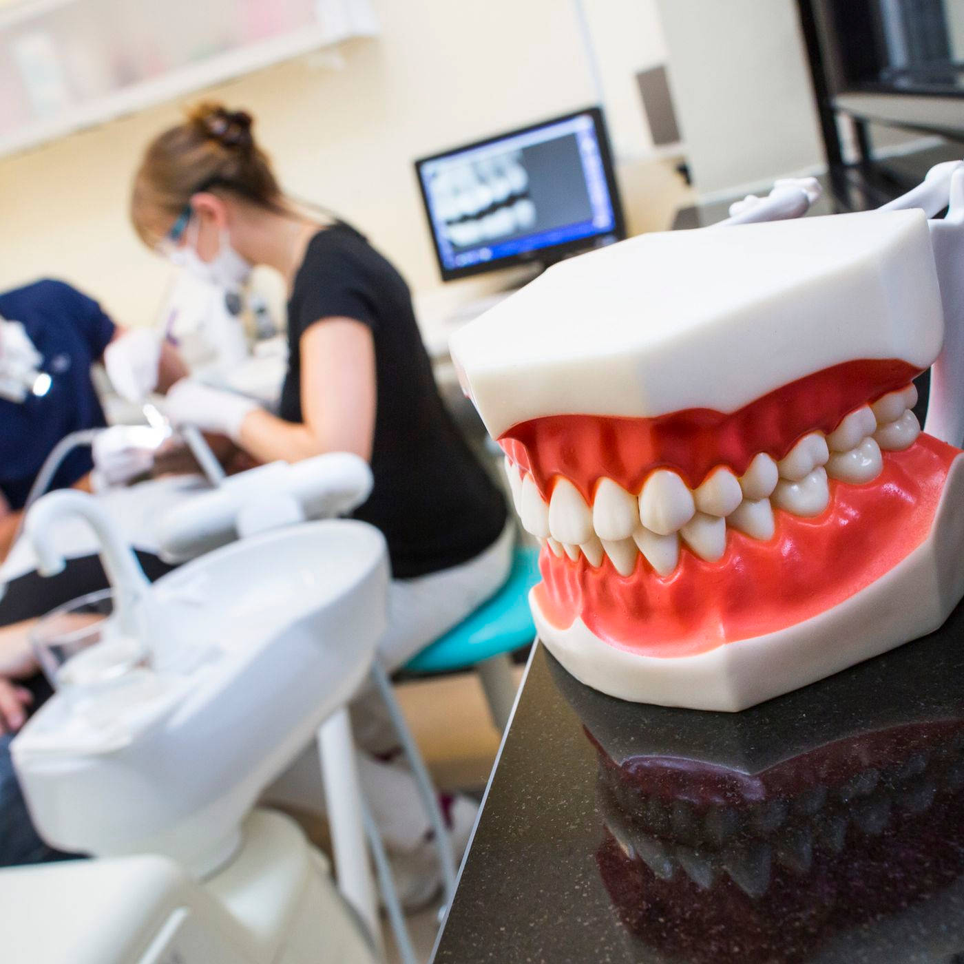 Dentist 桌布 壁紙 — 一個牙科模型的近距離特寫，有紅色牙齦和白色牙齒，放在診所的櫃檯上，背景有牙醫在工作。