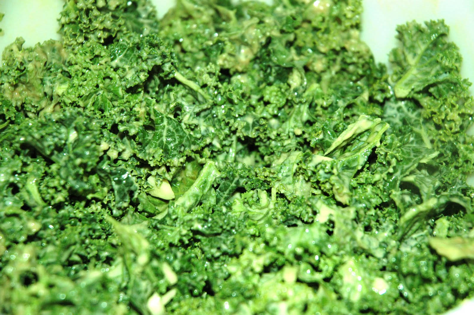 leafy 桌布 壁紙 — 一個特寫，顯示白色碗中充滿活力的綠色羽衣甘藍葉片，閃爍著水分。