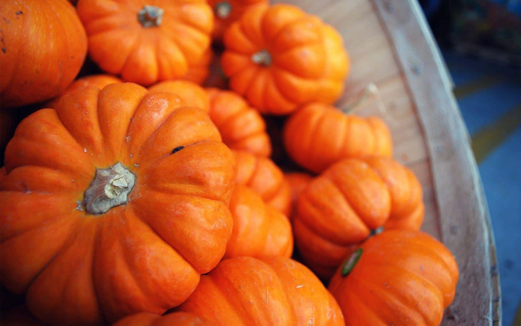Fall Pumpkin 桌布 壁紙 — 一個特寫，顯示鮮豔的橙色南瓜，帶有紋理脊線，堆放在一個木桶中。