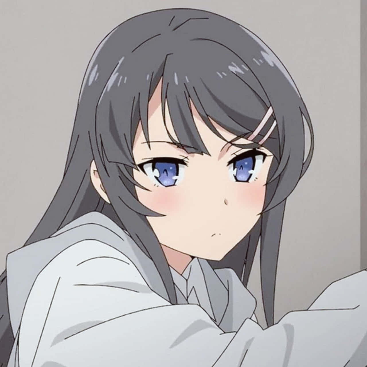 Discord Anime Pfp 桌布 壁紙 — 一個特寫動漫女孩，長灰色頭髮和明亮的藍色眼睛，溫柔地凝視著，穿著白色連帽衫。