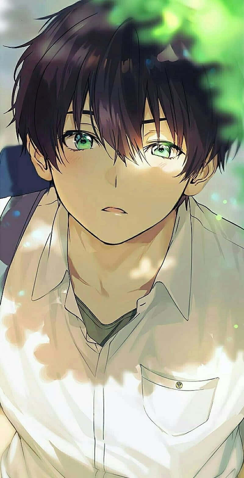 美學藝術 桌布 壁紙 — 一個特寫動漫男孩，深色頭髮和生動的綠色眼睛，在透過綠葉過濾的斑駁陽光下溫柔地凝視。