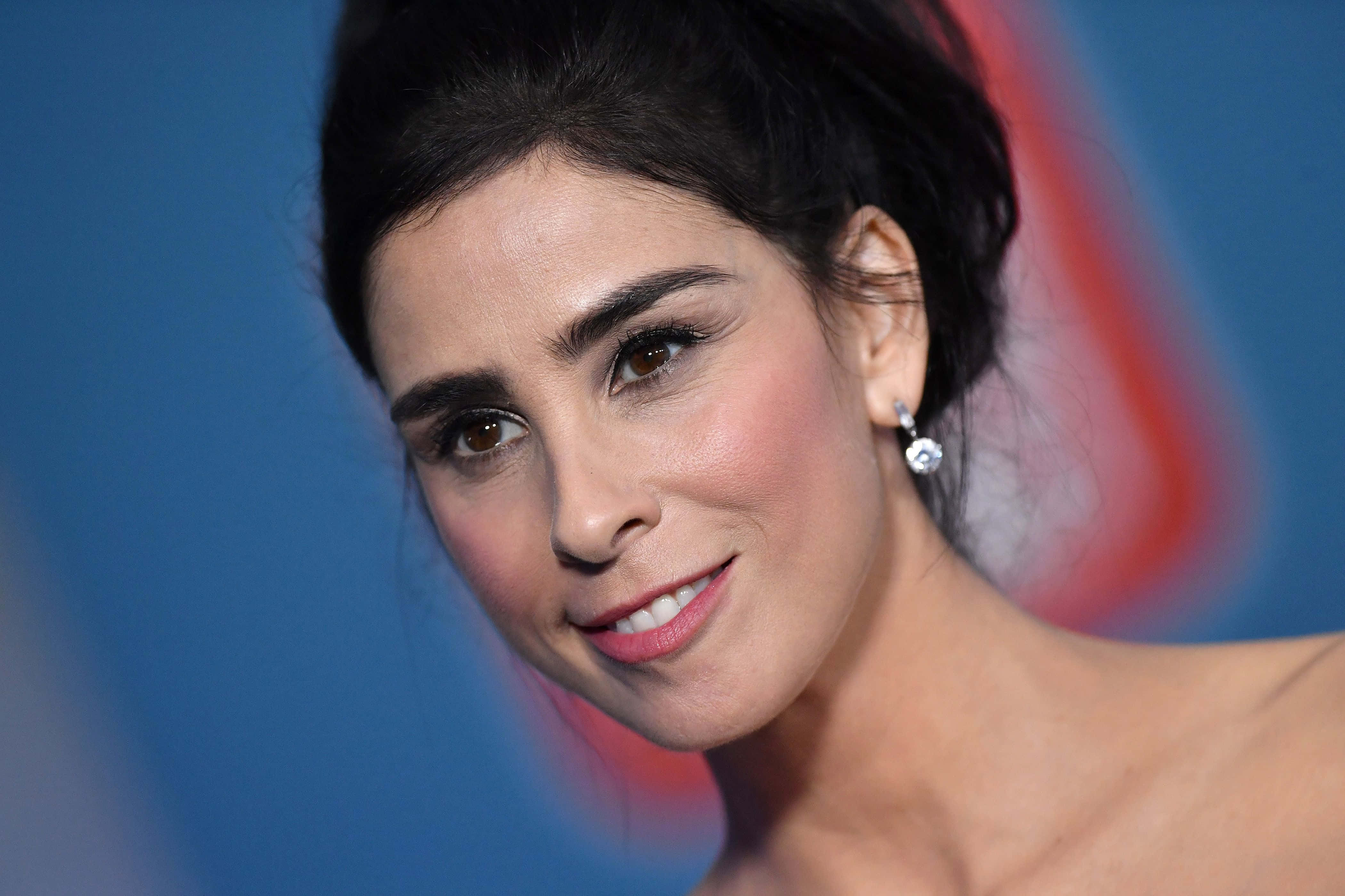 sarah silverman 桌布 壁紙 — 一個特寫肖像，一位深色頭髮、帶著溫暖微笑的女性，背景是模糊的藍色和紅色。