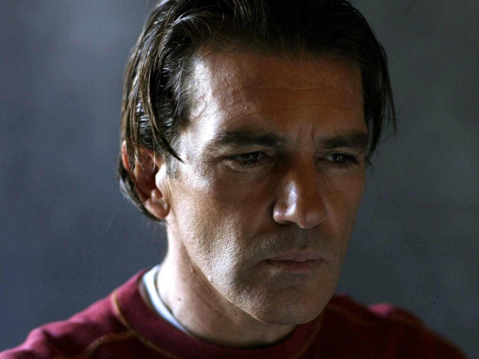 antonio banderas 桌布 壁紙 — 一個特寫肖像，一個黑髮、眼神銳利的男人穿著紅色毛衣，背景是柔和的灰色。