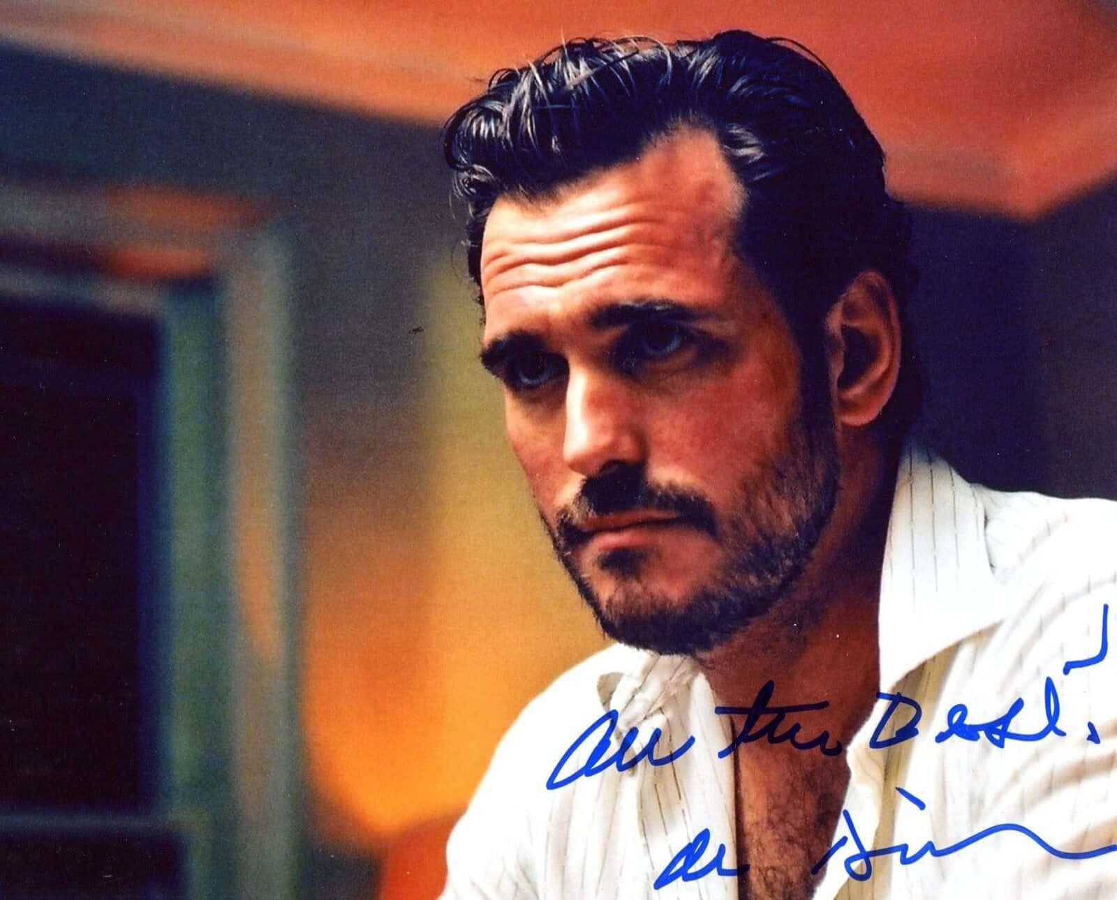 matt dillon 桌布 壁紙 — 一個特寫肖像，一名深色頭髮和鬍鬚的男子穿著白色襯衫，背景是暖色調模糊的。
