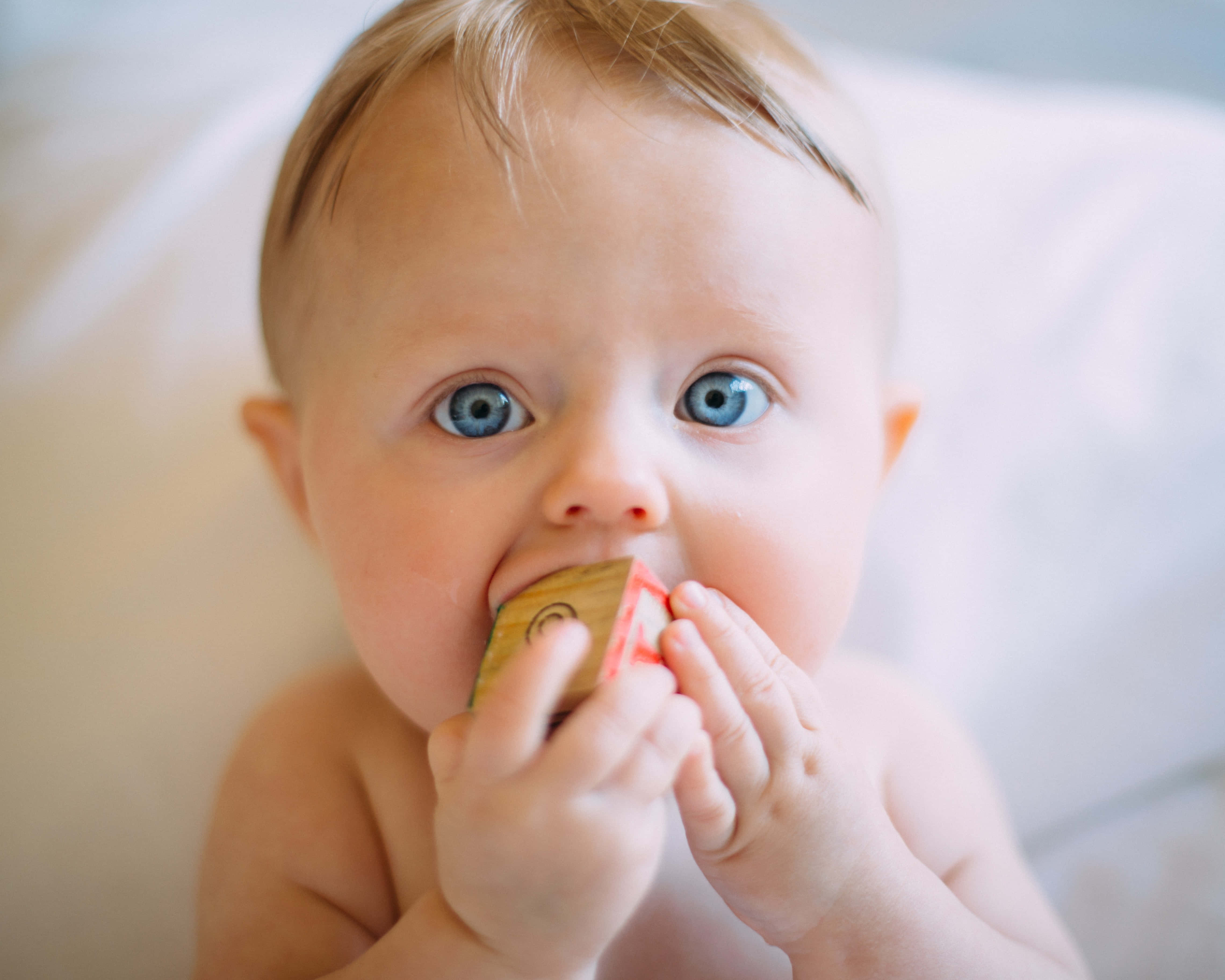 Baby Boy 桌布 壁紙 — 一個特寫鏡頭，嬰兒擁有明亮的藍色眼睛，在柔和的白色背景前咀嚼木製玩具。