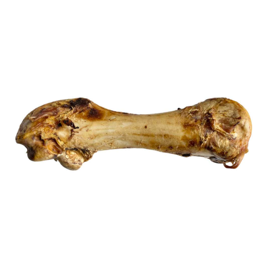 Bone 桌布 壁紙 — 一個特寫鏡頭，展示一塊煮熟的動物骨頭，上面帶有烤焦的肉碎，背景為純白色。
