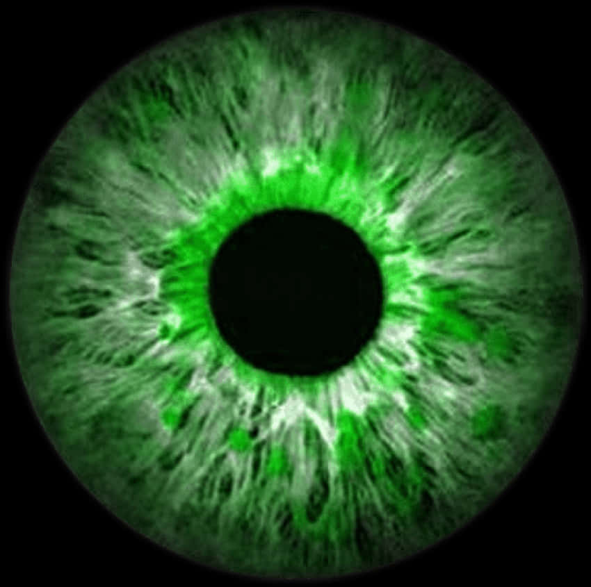Eyes Lens 桌布 壁紙 — 一個特寫鏡頭，展示一隻鮮綠色眼睛，帶有複雜的白色和深綠色圖案，從黑色瞳孔向黑色背景輻射。
