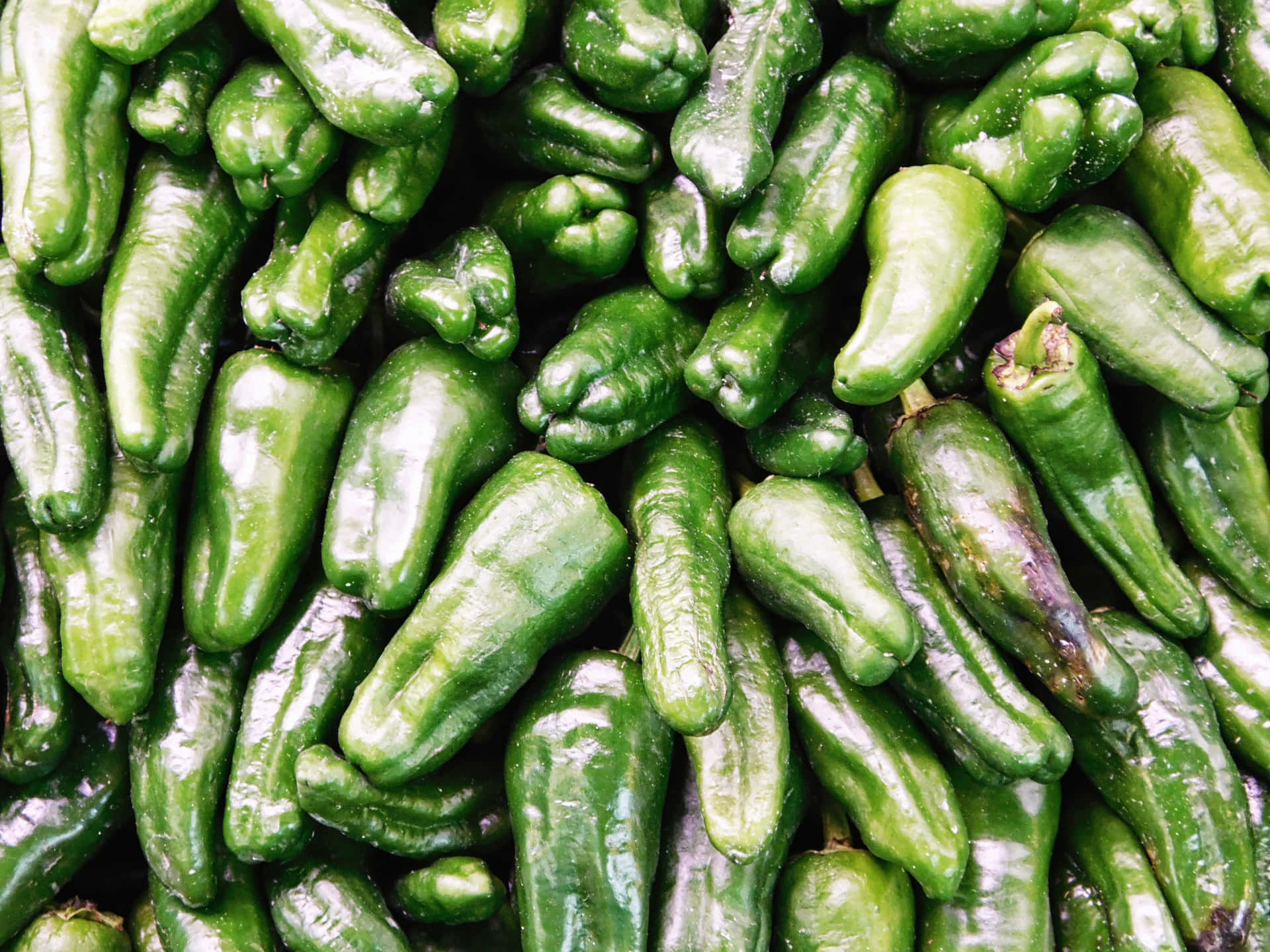 Peppers texture 壁紙 — 一個特寫鏡頭，展示光澤的綠色甜椒堆疊在一起，形狀各異，帶有微妙的紫色莖部。