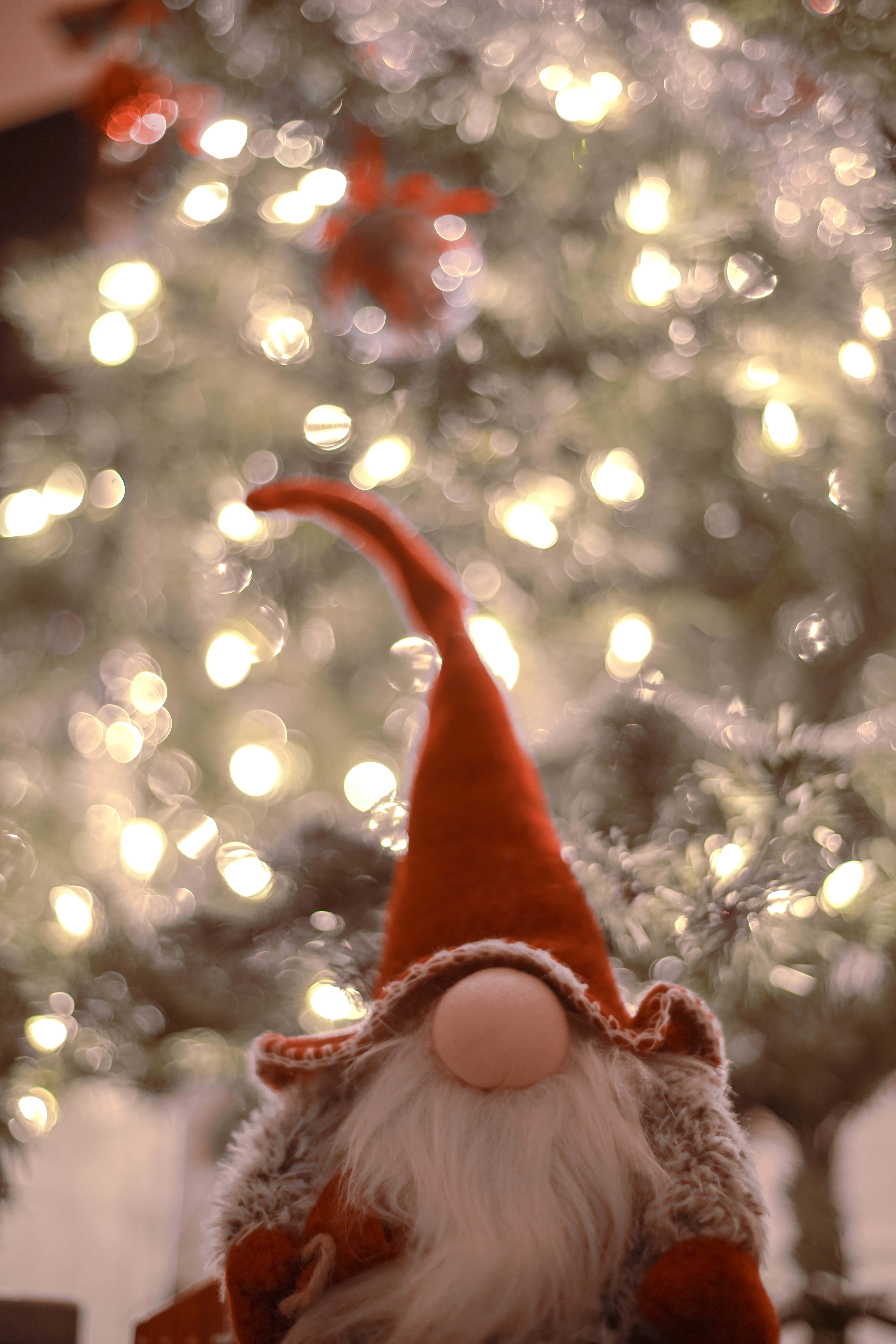 Gnome 桌布 壁紙 — 一個特寫鏡頭，節日紅帽白鬍鬚地精，背景是閃爍聖誕燈飾的散景效果。
