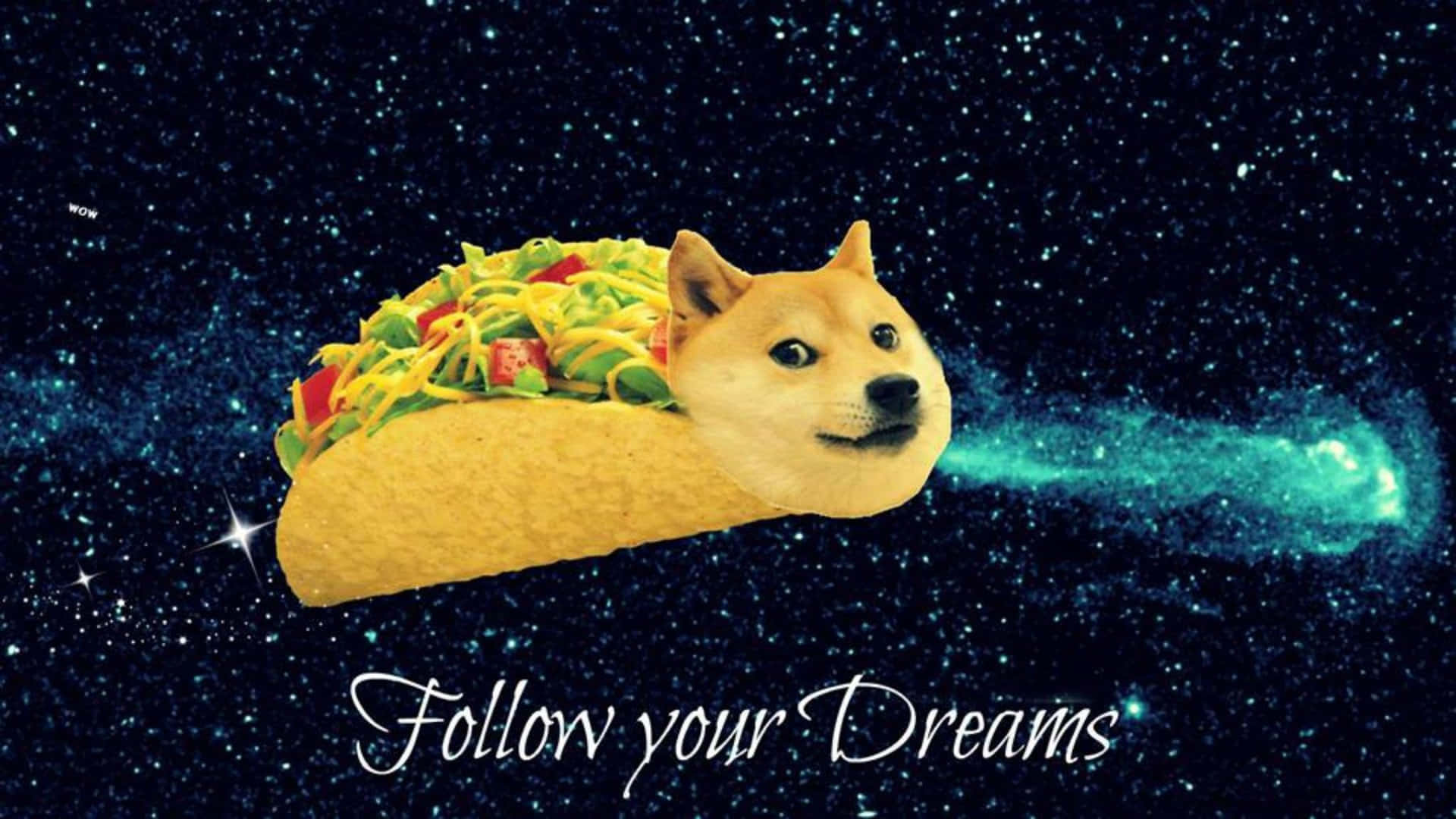 Dog Memes 桌布 壁紙 — 一個狗臉墨西哥捲餅劃過滿天星斗的夜空，留下一條發光的青綠色痕跡，上面寫著「追隨你的夢想」。