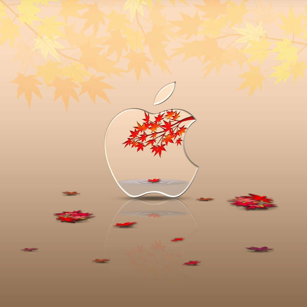 Fall 桌布 壁紙 — 一個玻璃Apple標誌，內有鮮紅色的楓樹枝，周圍是落在反光表面上的秋葉。