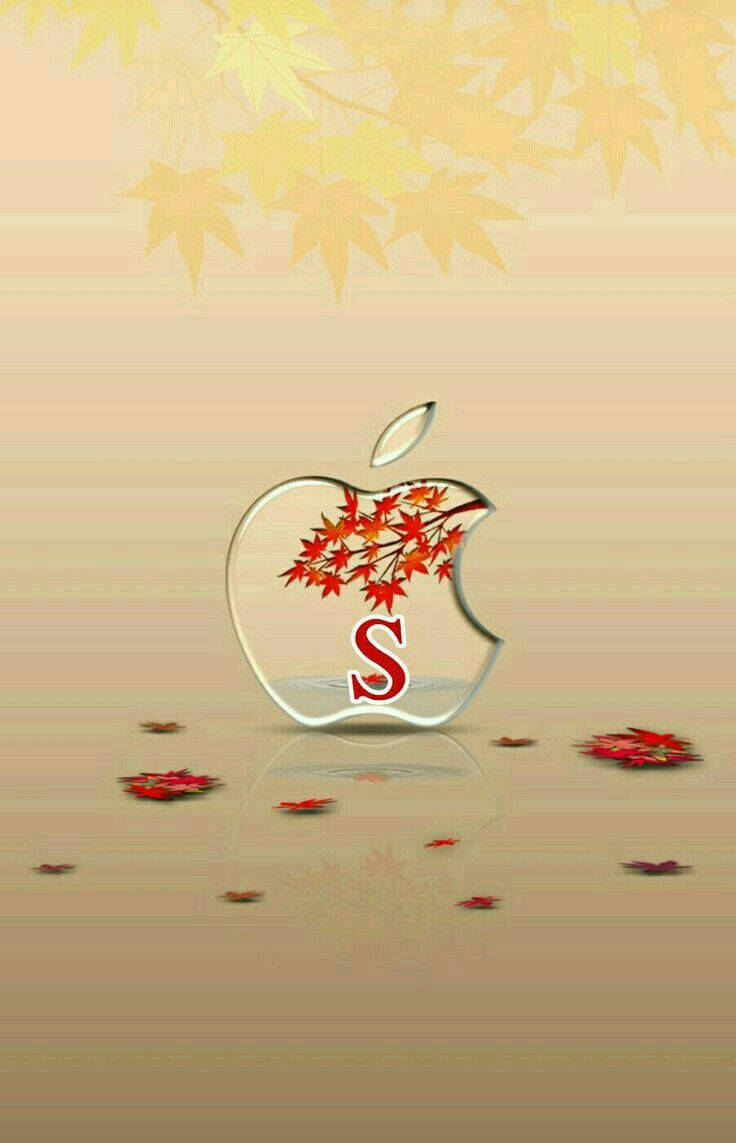 玻璃Apple標誌，帶有紅色楓葉和字母S，位於反光表面，有落葉。 — 字母動畫 壁紙