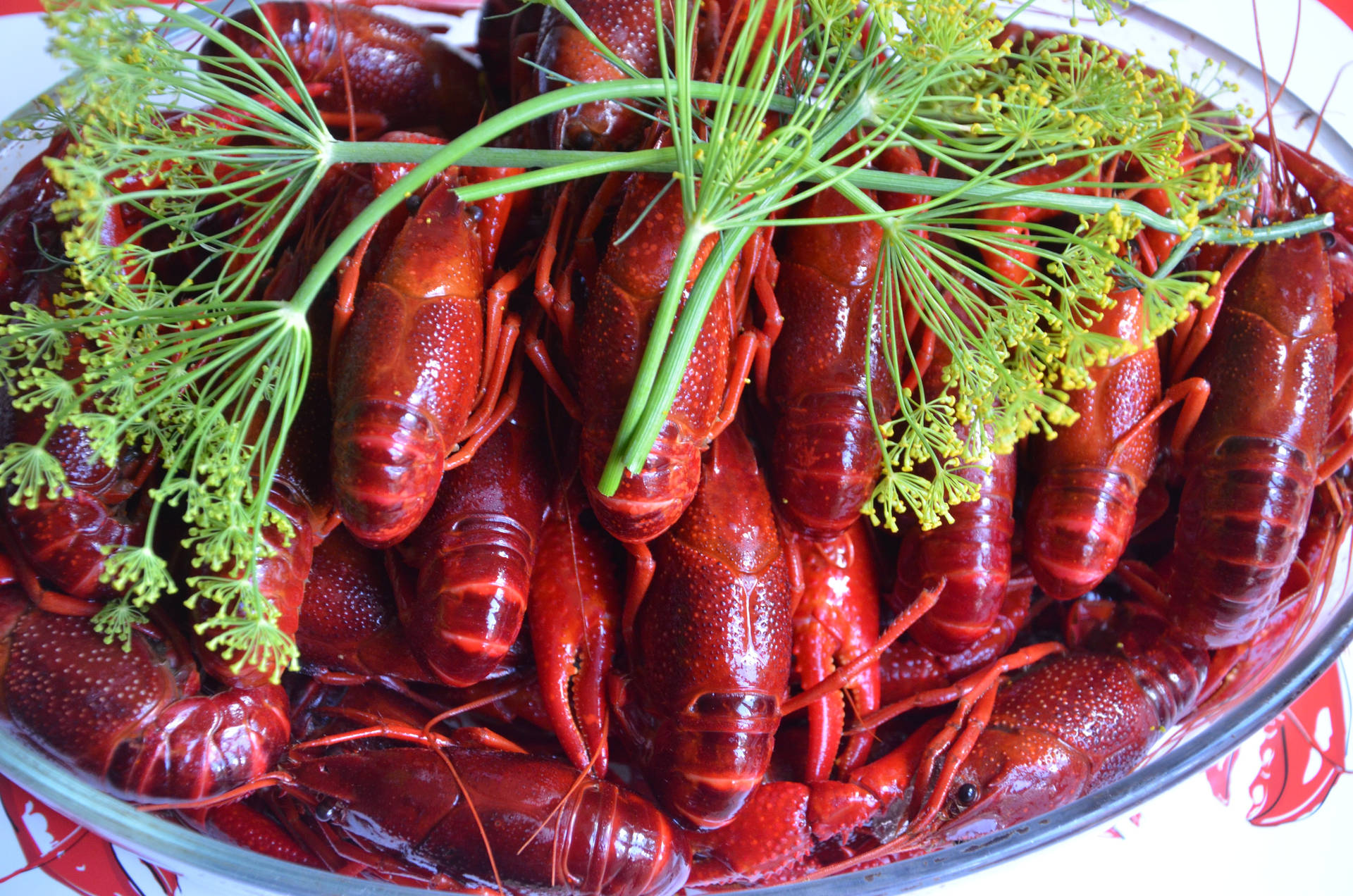 Lobster 桌布 壁紙 — 一個玻璃碗裝滿了閃亮的紅色熟小龍蝦，上面點綴著新鮮的綠色蒔蘿。
