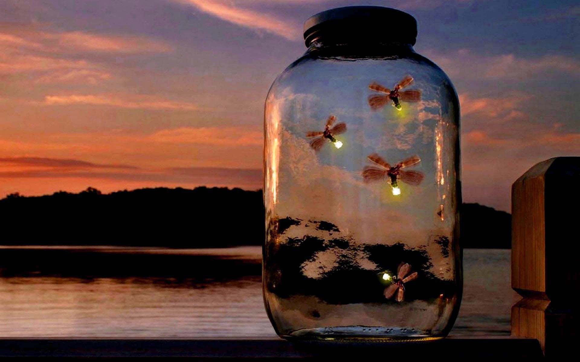 firefly 桌布 壁紙 — 一個玻璃罐裝著發光的蜻蜓形燈光，映襯著水面上方的暮色天空。