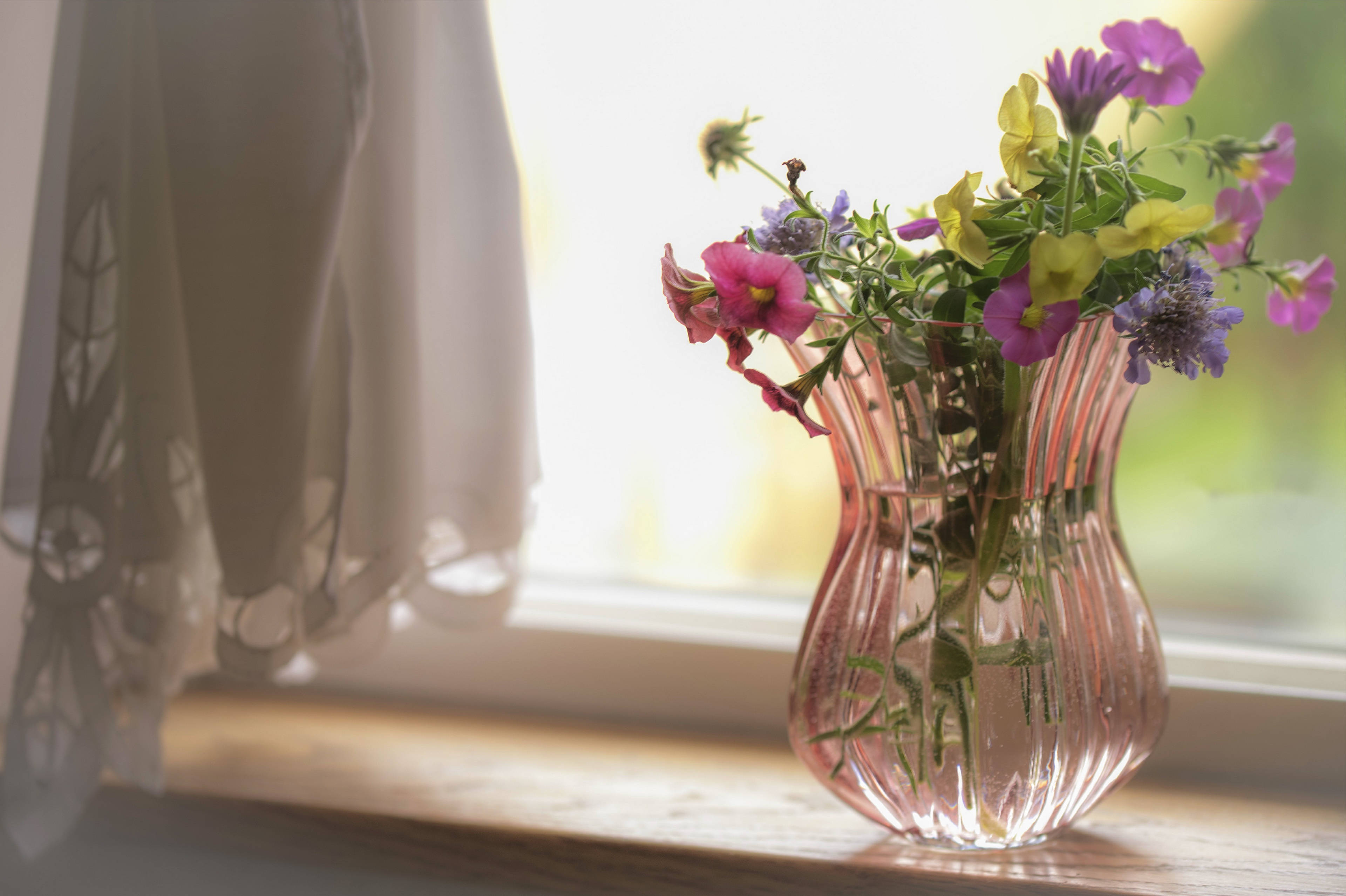 Flowers 桌布 壁紙 — 一個玻璃花瓶裡插滿了粉紅色、黃色和紫色的野花，放在木製窗台上，沐浴在柔和的晨光中。