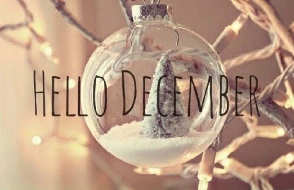 Hello December 桌布 壁紙 — 一個玻璃裝飾品內有一個被雪覆蓋的微型松樹，上面有「HELLO DECEMBER」字樣，背景是溫暖的童話燈光和光禿的樹枝。