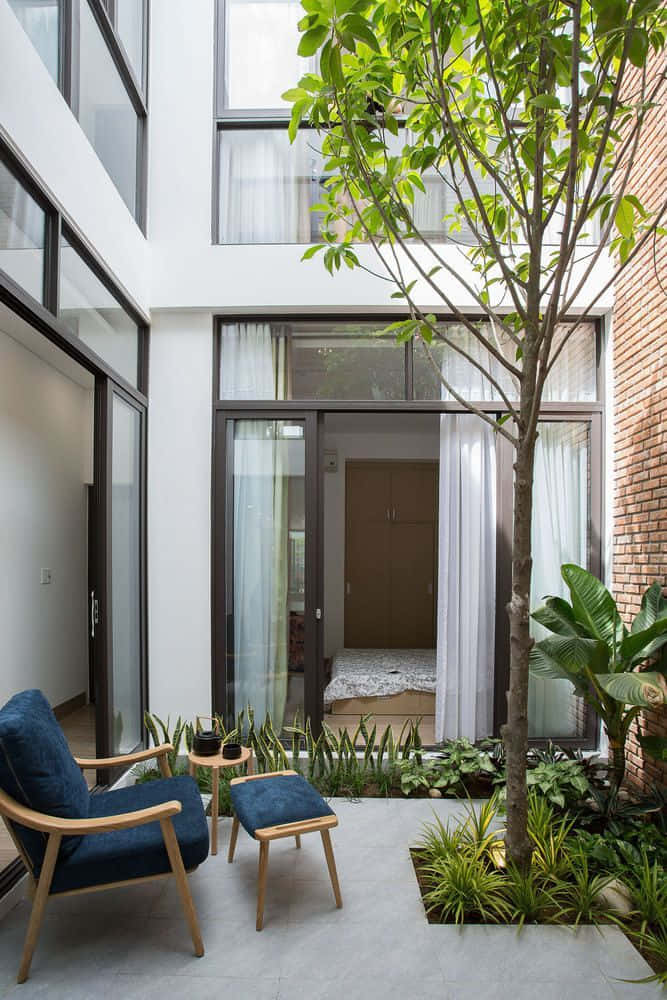 Minimalist Design 桌布 壁紙 — 一個現代庭院，高樹下放著藍色扶手椅和腳凳，四周環繞玻璃牆和茂密綠植。
