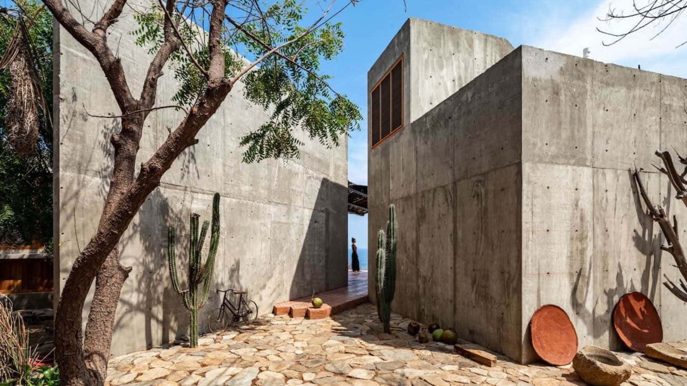 建築 桌布 壁紙 — 一個現代混凝土庭院，有石徑、仙人掌和樹木，在明亮的藍天下。