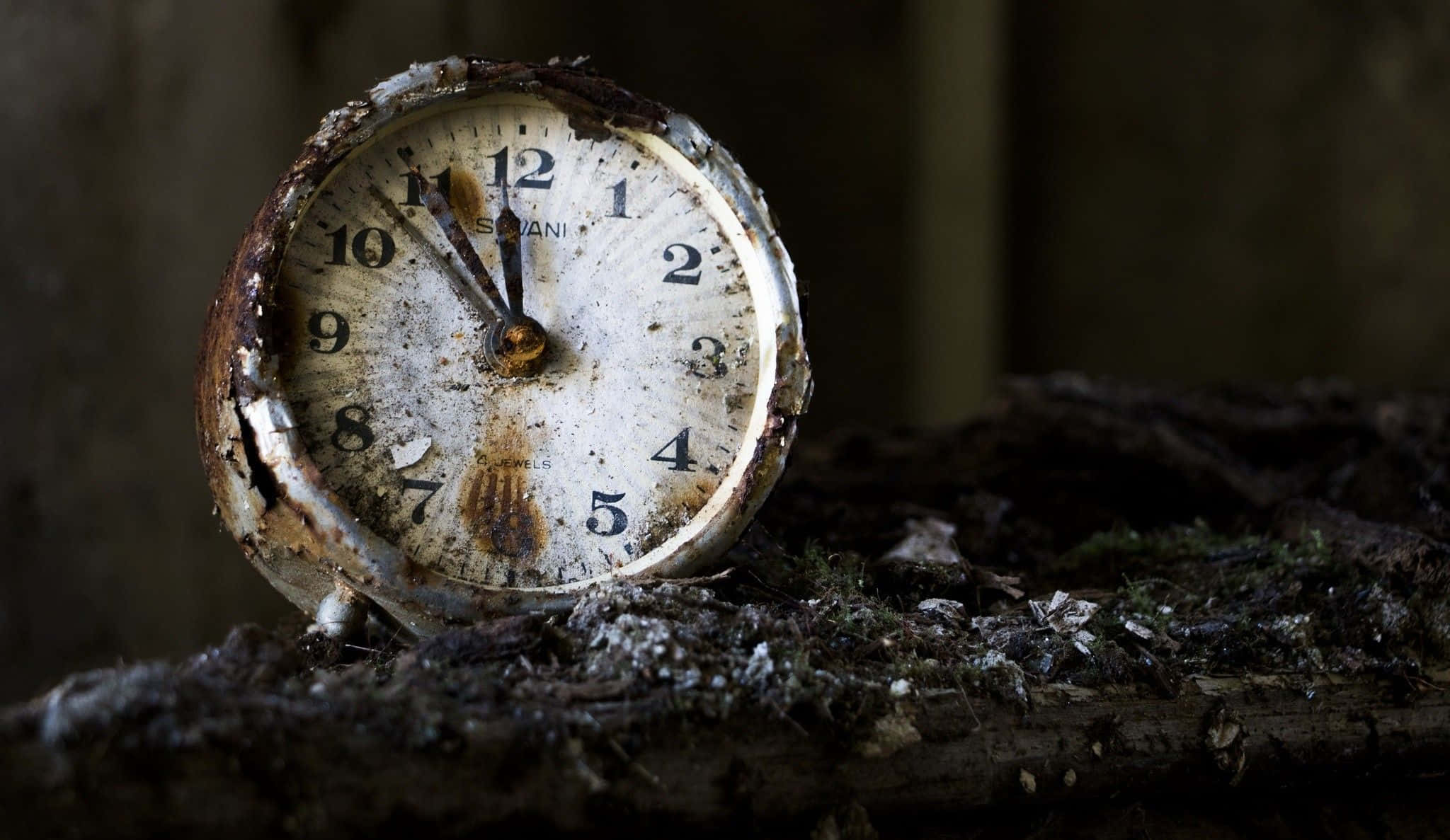 Clock 桌布 壁紙 — 一個生鏽損壞的時鐘被遺棄在黑暗森林中長滿苔蘚的木頭上，指針停留在11:58。