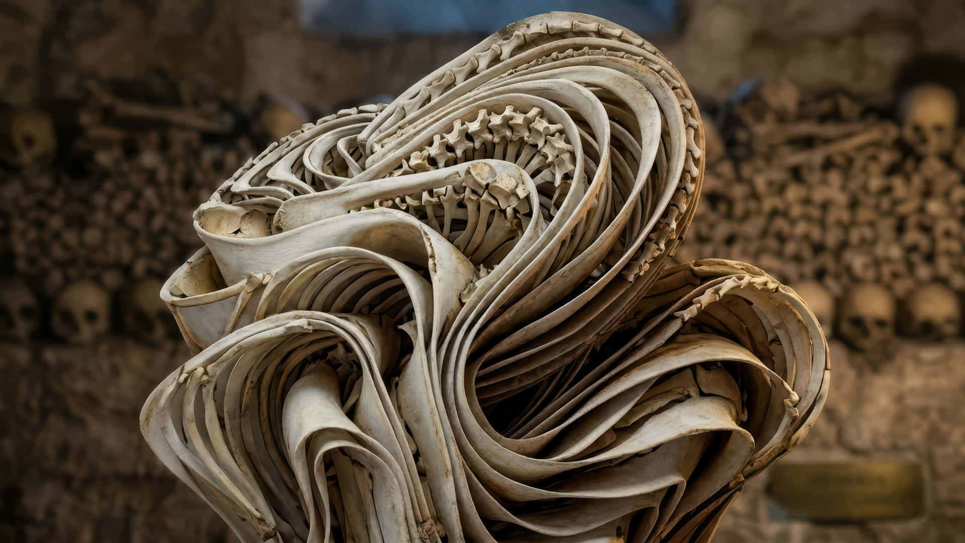 Bones of skeleton bloom modded wallpaper for desktop Enhancement 壁紙 — 一個由人類骨骼和頭骨製成的旋轉雕塑，在墓穴中以堆疊的頭骨為背景矗立。