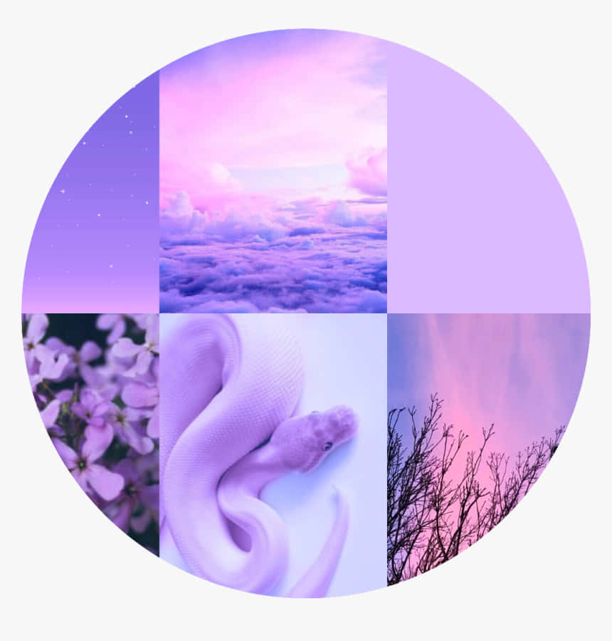 帶有紫色雲朵、星星、花朵、蛇和光禿禿樹木的圓形拼貼畫。 — Valorant Logo 壁紙