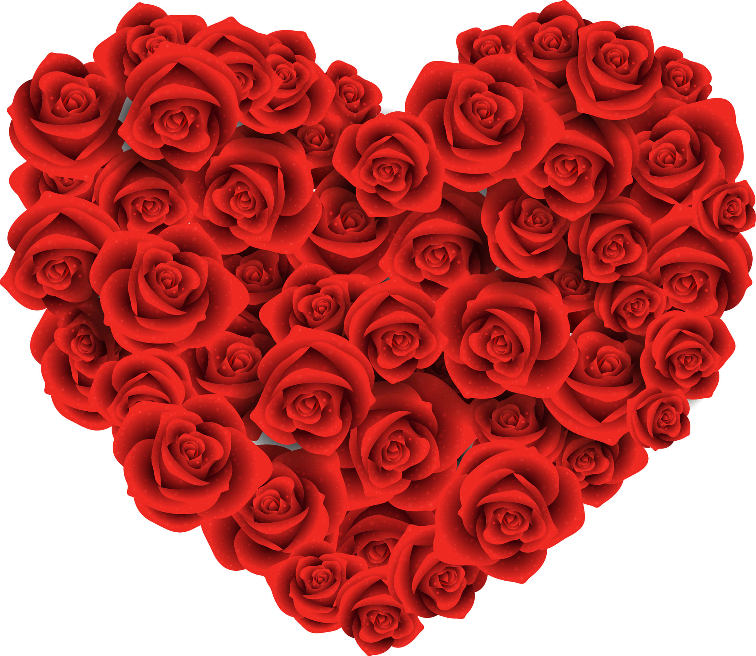 Rose Heart 桌布 壁紙 — 一個由密集紅玫瑰組成的鮮豔心形，帶有精細花瓣，襯托在潔白背景上。