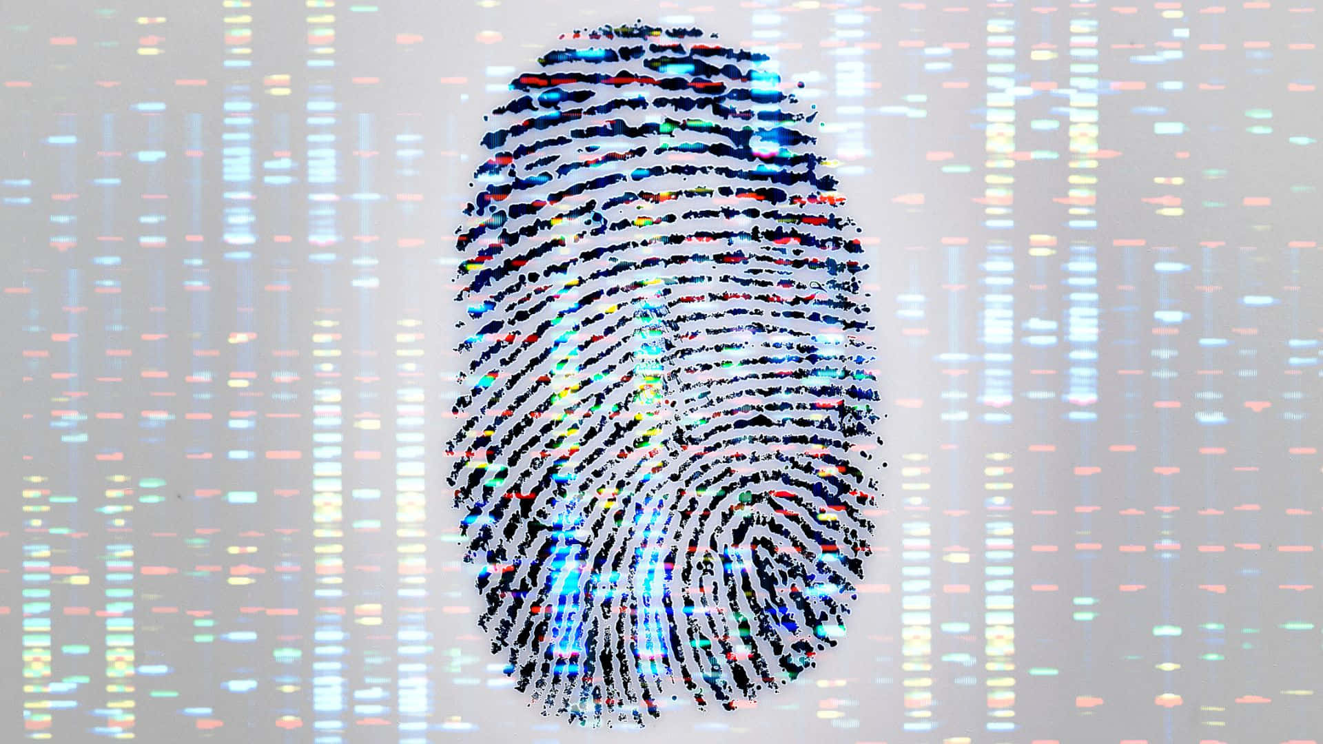 Fingerprint 桌布 壁紙 — 一個由彩色數位數據流組成的生動指紋，背景是發光的科技背景。