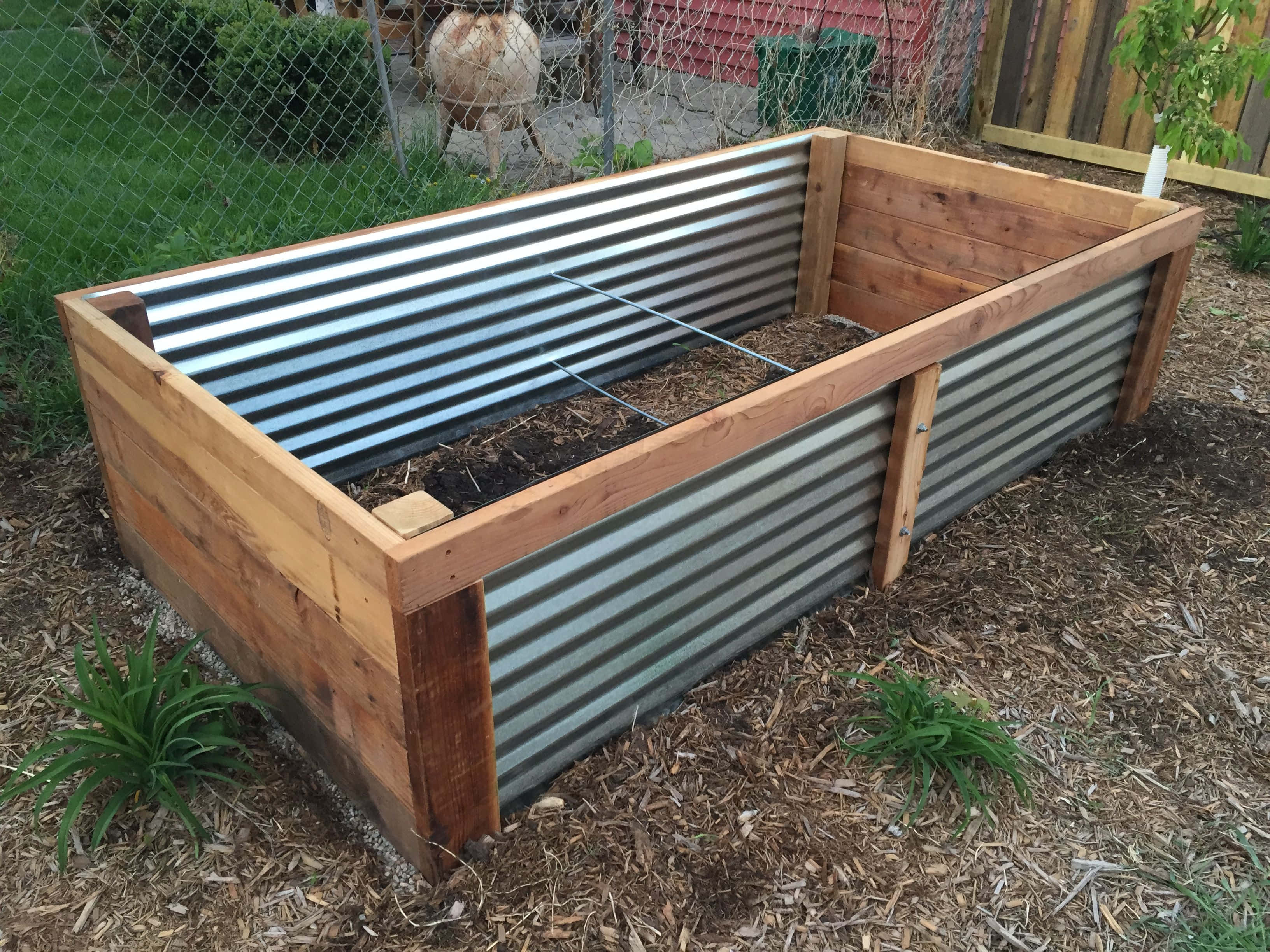 Garden Bed 桌布 壁紙 — 一個由木材和波紋金屬製成、裝滿土壤的高架花園床，放置在鋪有覆蓋物的後院花園中。