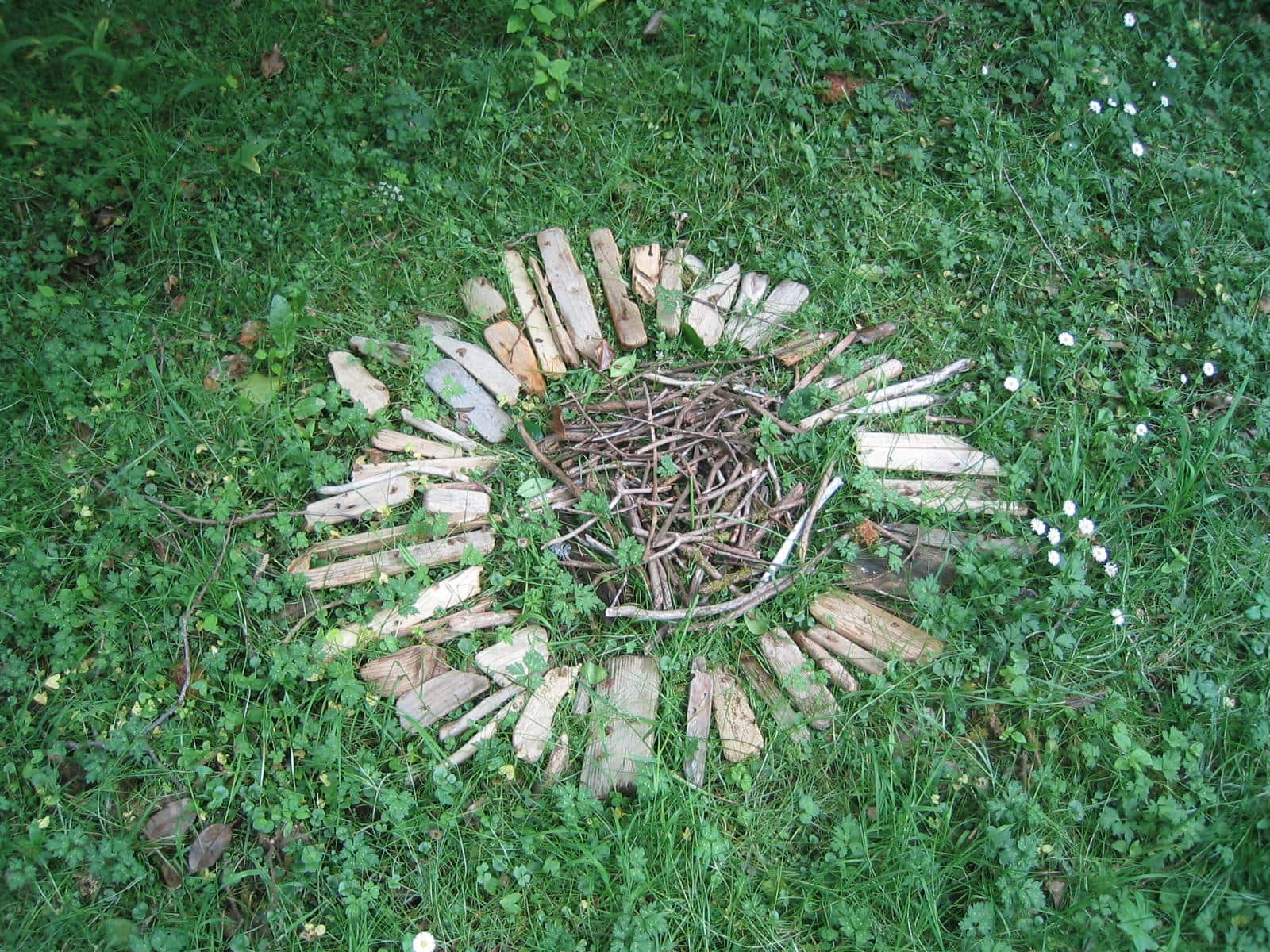 Land Art 桌布 壁紙 — 一個由木板和樹枝製成的質樸木圈，安放在一片點綴著小白花的茂密綠草地上。