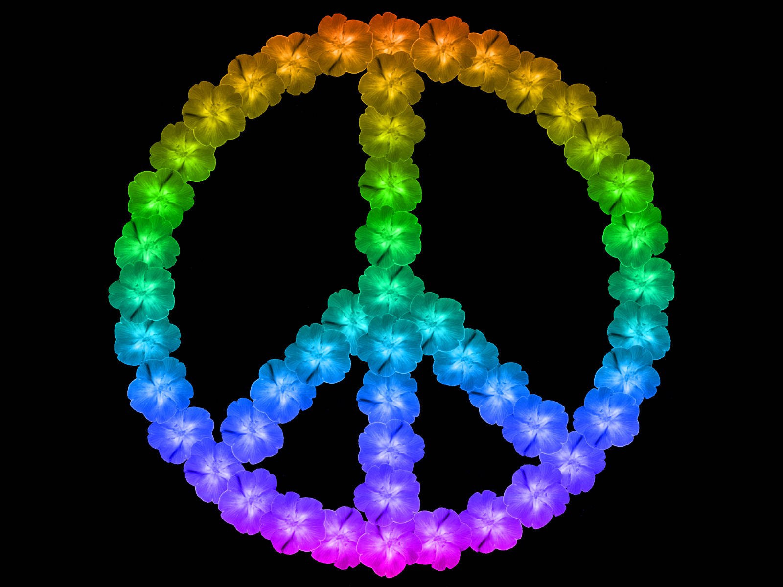 Peace Symbol 桌布 壁紙 — 一個由發光花朵組成的鮮豔彩虹和平標誌，背景為黑色。