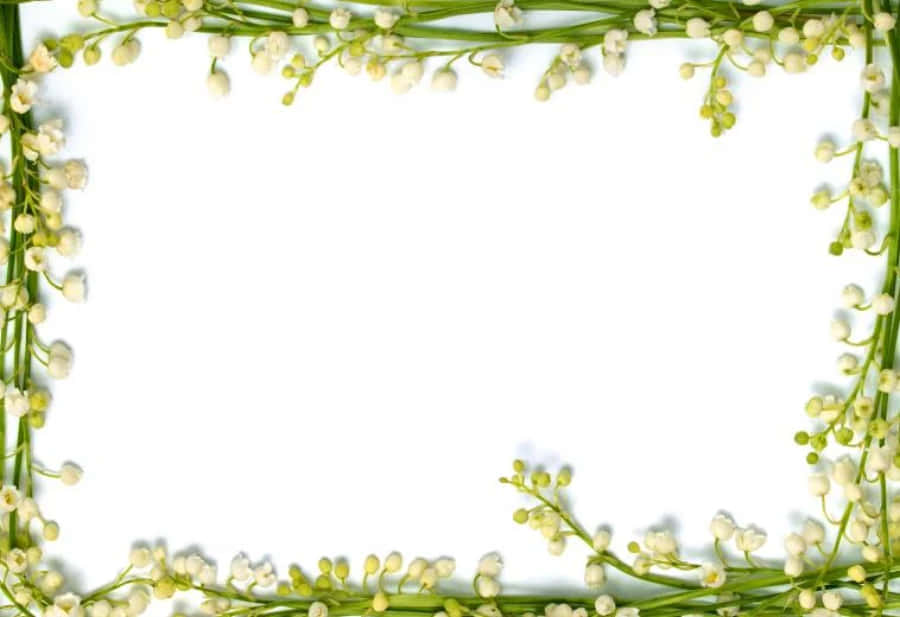 Watercolor Floral 桌布 壁紙 — 一個由白色鈴蘭花和綠色莖幹組成的精緻框架，圍繞著一個潔淨的白色空間。