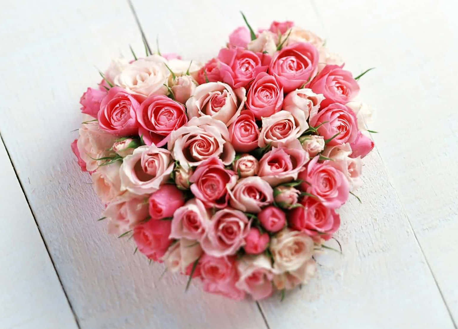 Bouquet Of Flowers 桌布 壁紙 — 一個由粉紅和蜜桃色玫瑰組成的心形花藝擺放在白色木質表面上。