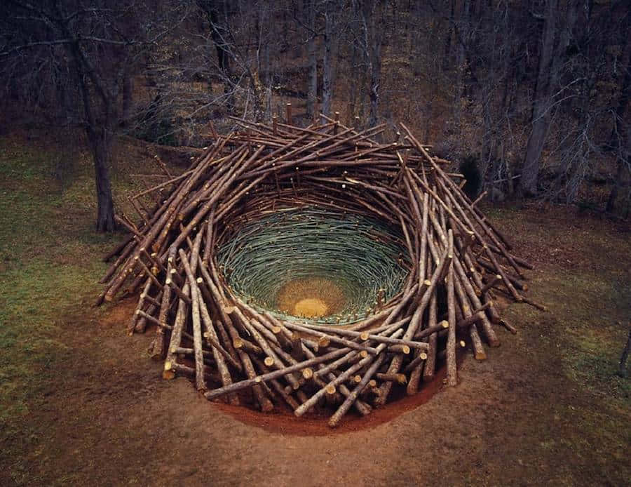 Land Art 桌布 壁紙 — 一個由粗糙圓木和綠色蘆葦製成的巨大圓形巢穴，位於光線昏暗的裸露森林空地中。