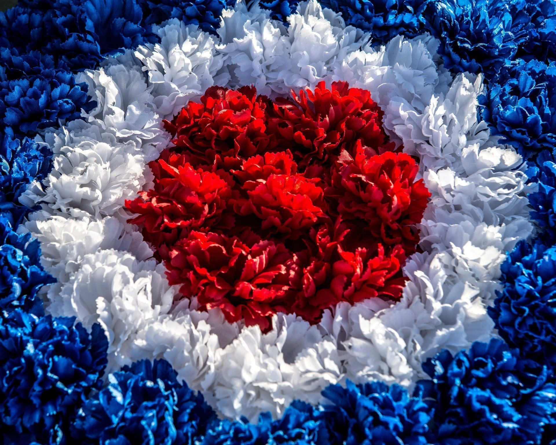 Red White And Blue 桌布 壁紙 — 一個由紅色、白色和藍色康乃馨組成的充滿活力的心形佈置，形成了一個愛國的花卉標誌。