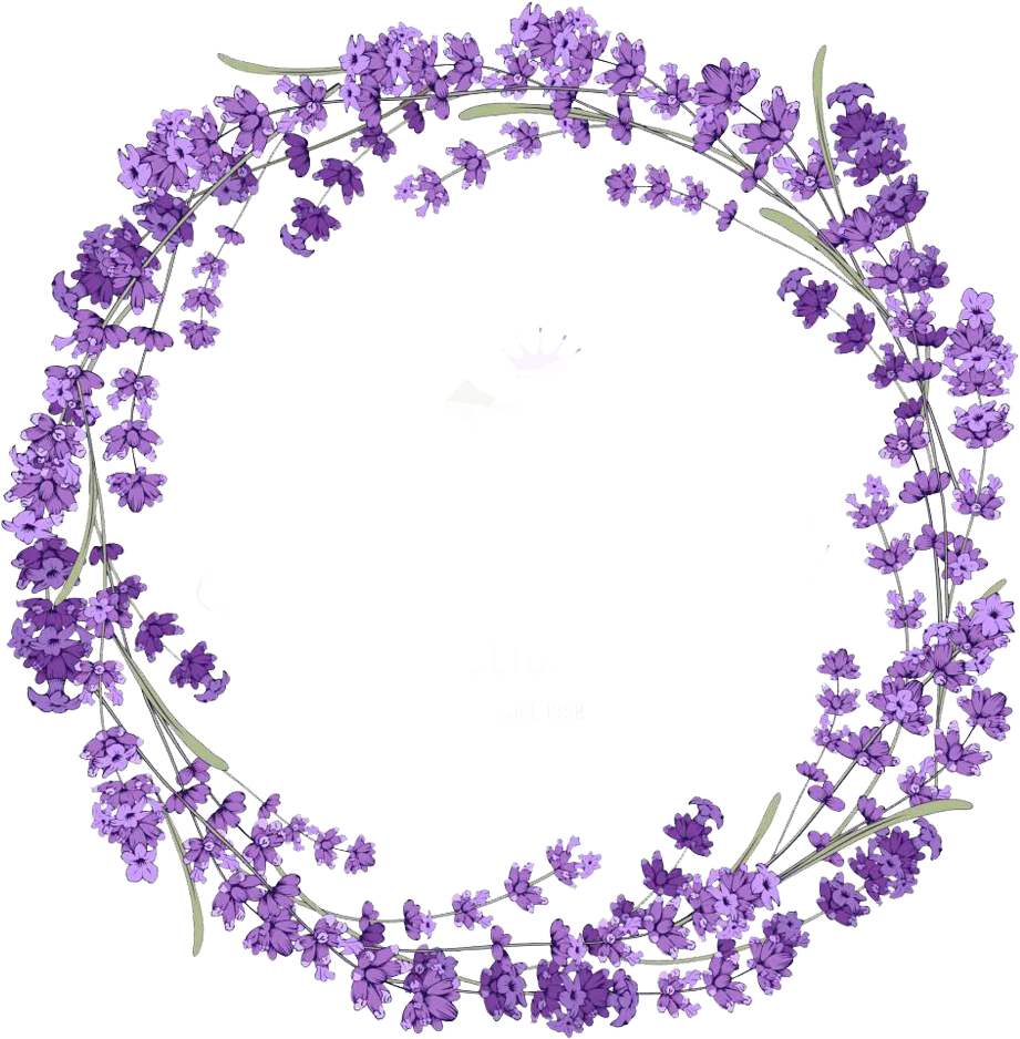 Purple Flower 桌布 壁紙 — 一個由紫色薰衣草花朵和綠色莖幹組成的圓形花環，在黑色背景上形成裝飾邊框。