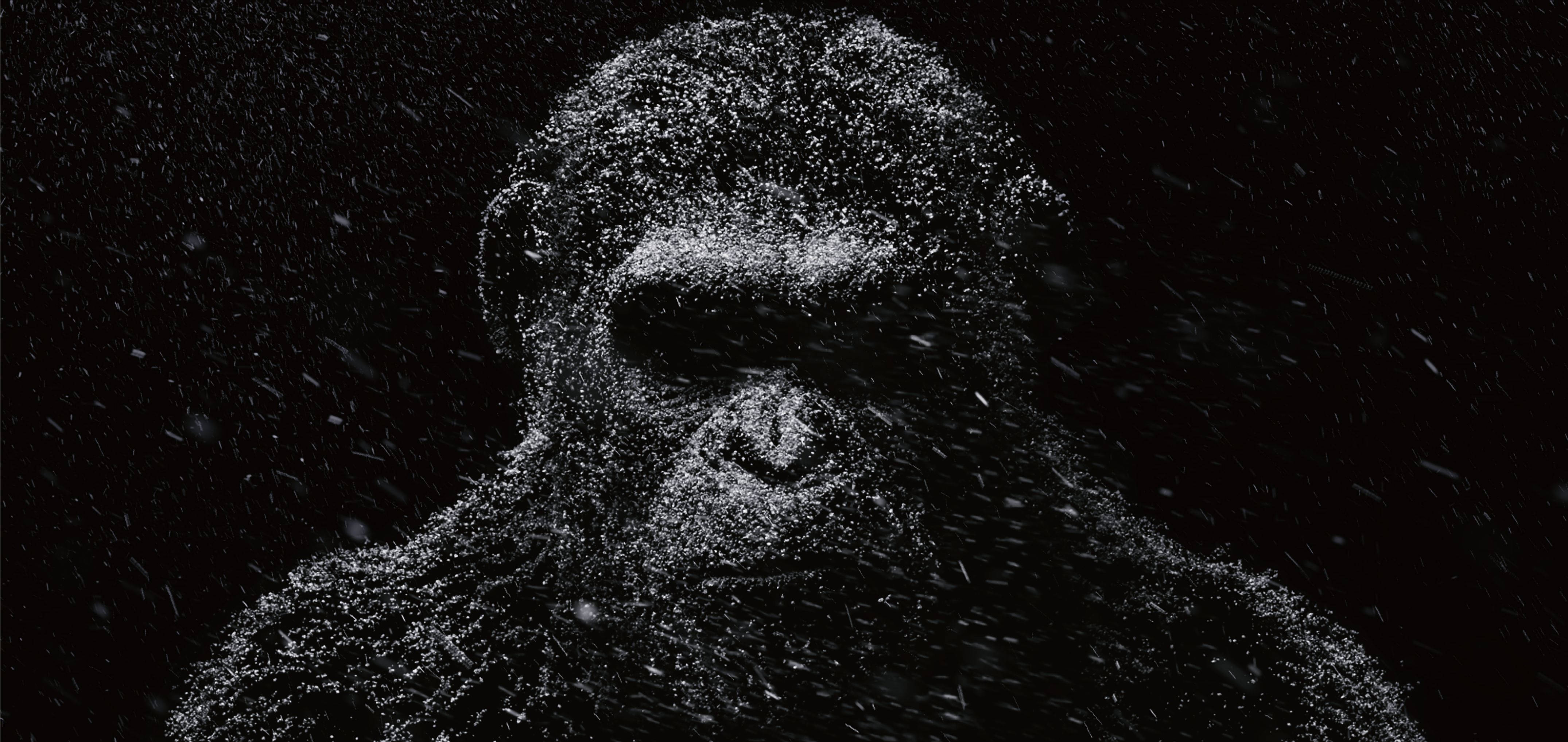 Chimpanzee 桌布 壁紙 — 一個由飄雪在黑色虛空中形成的猩猩詭異肖像。