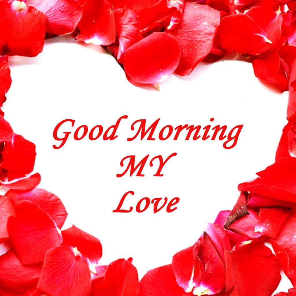 My Love 桌布 壁紙 — 一個由鮮紅色玫瑰花瓣組成的心形框架，環繞著白色背景上的文字「Good Morning MY Love」。