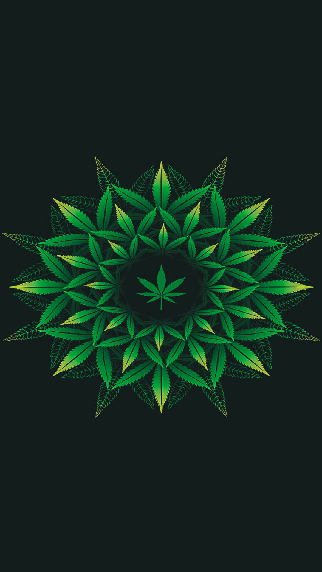 酷炫大麻 桌布 壁紙 — 一個由鮮綠色大麻葉對稱排列而成的曼陀羅，在深色背景上向外輻射。