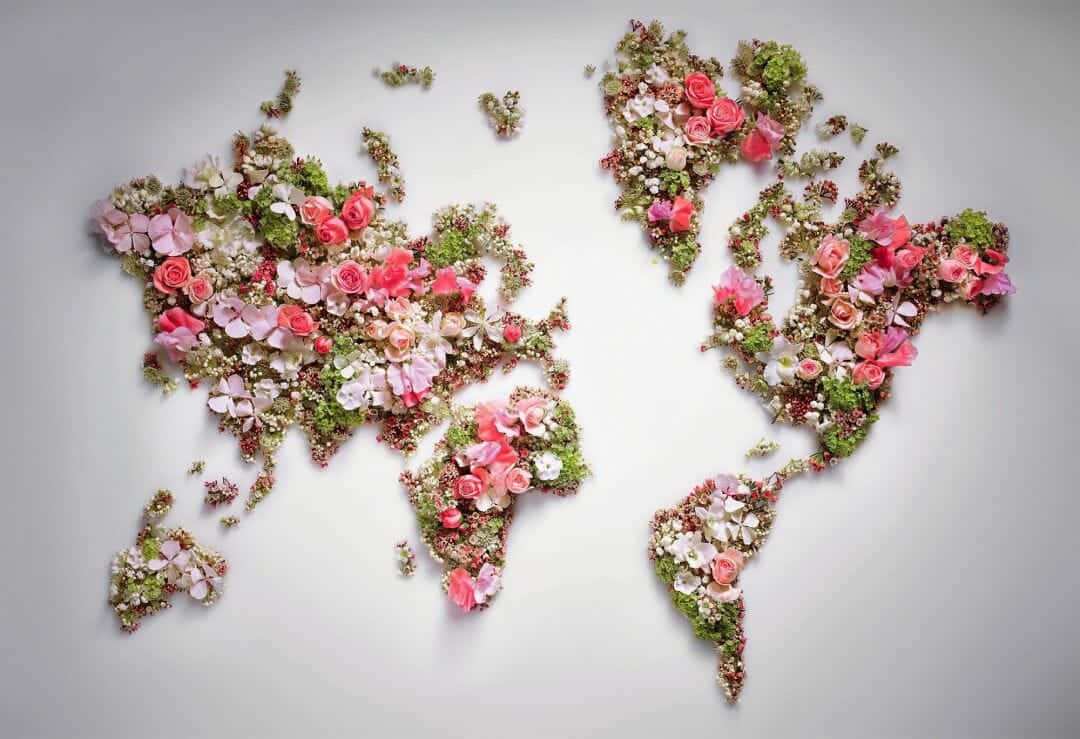 World Map Aesthetic 桌布 壁紙 — 一個由鮮豔粉紅玫瑰和綠色葉子製成的世界地圖，背景為柔和灰色。