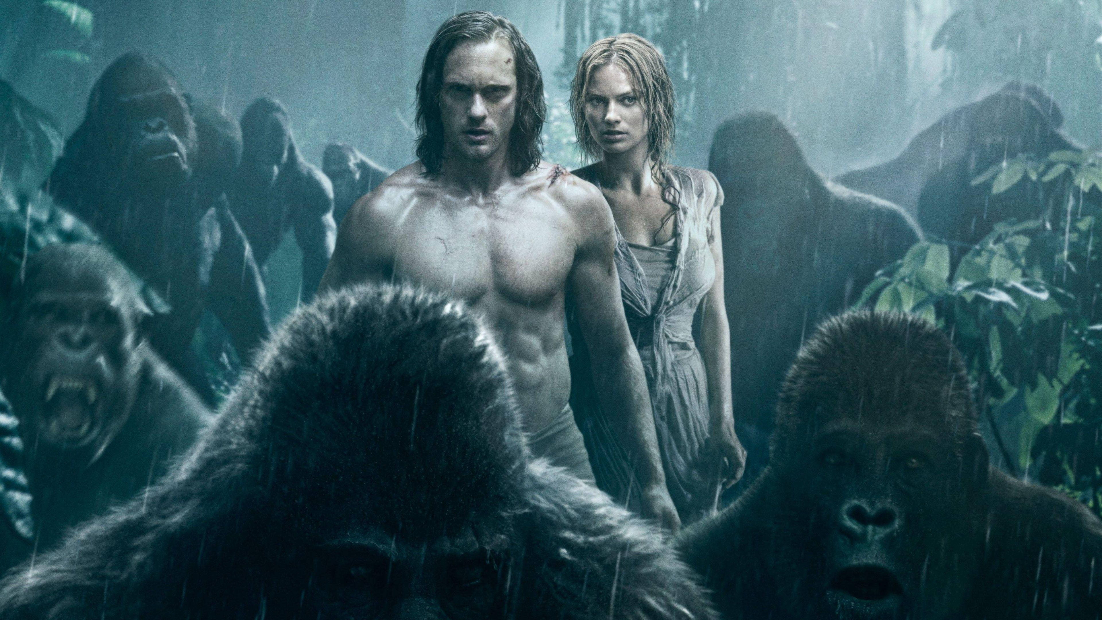 tarzan 桌布 壁紙 — 一個男人和一個女人在雨淋濕的叢林中，被兇猛的大猩猩包圍，挑釁地站立著。