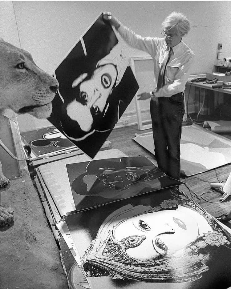 andy warhol 桌布 壁紙 — 一個男人在工作室裡舉起一幅大型黑白肖像，附近有一頭獅子在觀察。