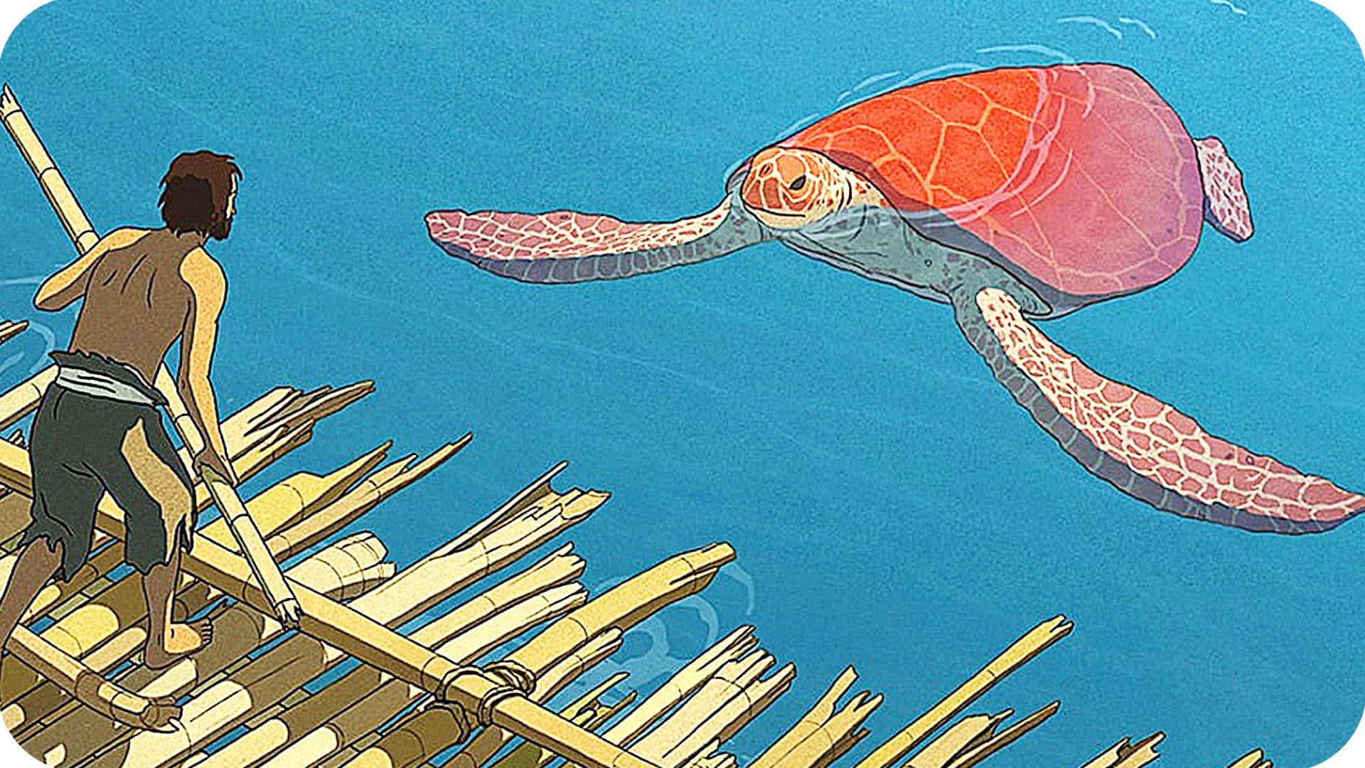Cartoon Turtle 桌布 壁紙 — 一個男人在竹筏上仰望一隻在清澈藍色海水中游過頭頂的巨大紅色海龜。