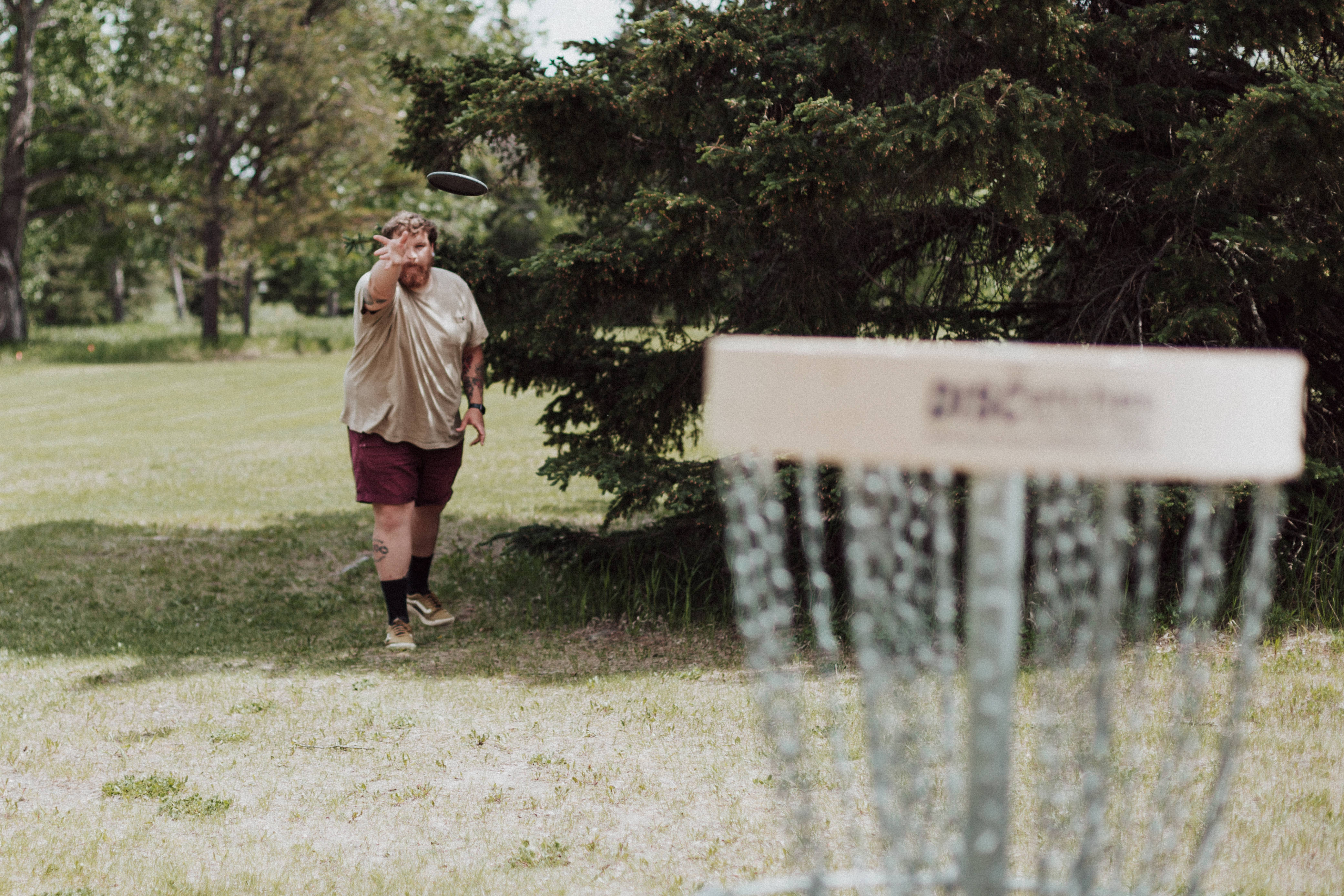 Frisbee 桌布 壁紙 — 一個男人在陽光明媚、樹木環繞的草地上將飛盤扔向金屬籃框。