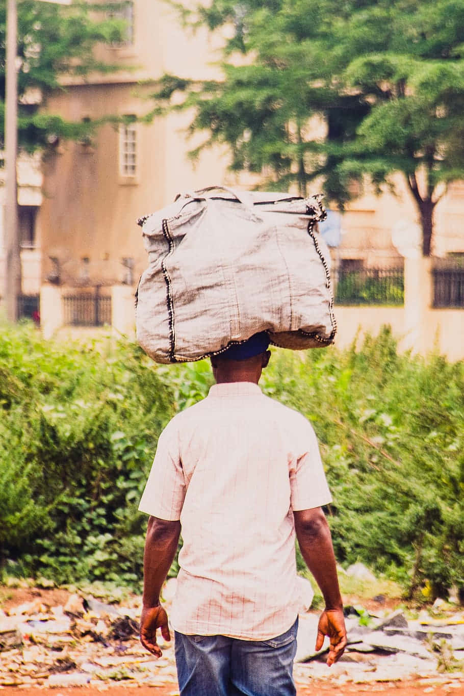 Nigeria 桌布 壁紙 — 一個男人平衡著一個大麻袋在頭上，走過一條綠意盎然的城市小巷。